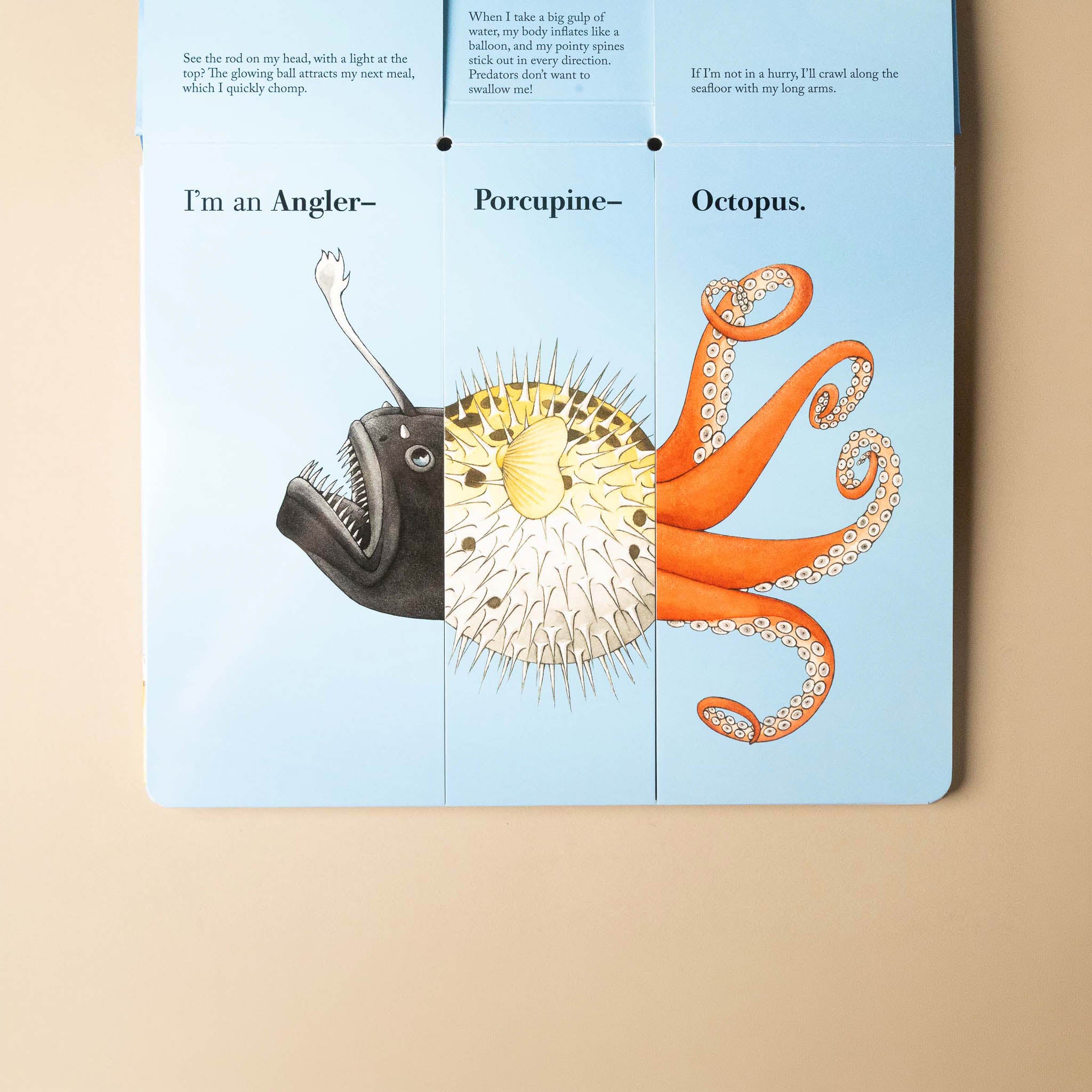 Illustrated flip-a-fin-flip-and-flop-book page with an anglerfish, porcupine, and octopus on a beige background