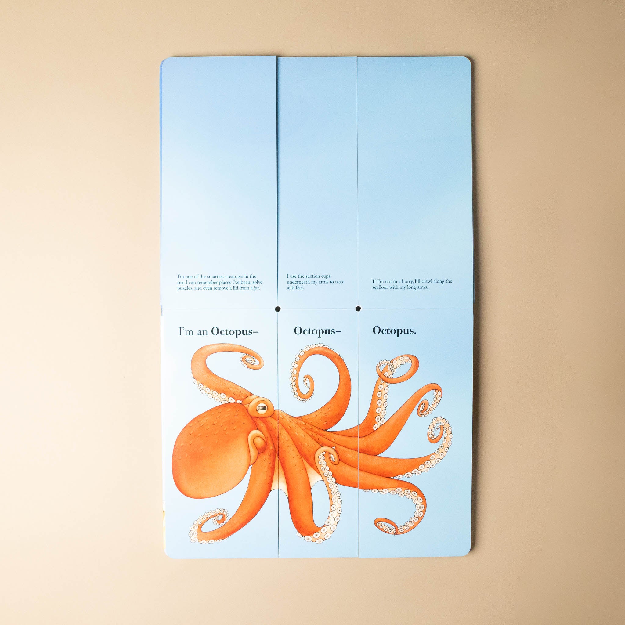 Children's flip-a-fin-flip-and-flop-book with an illustration of an octopus on a beige background