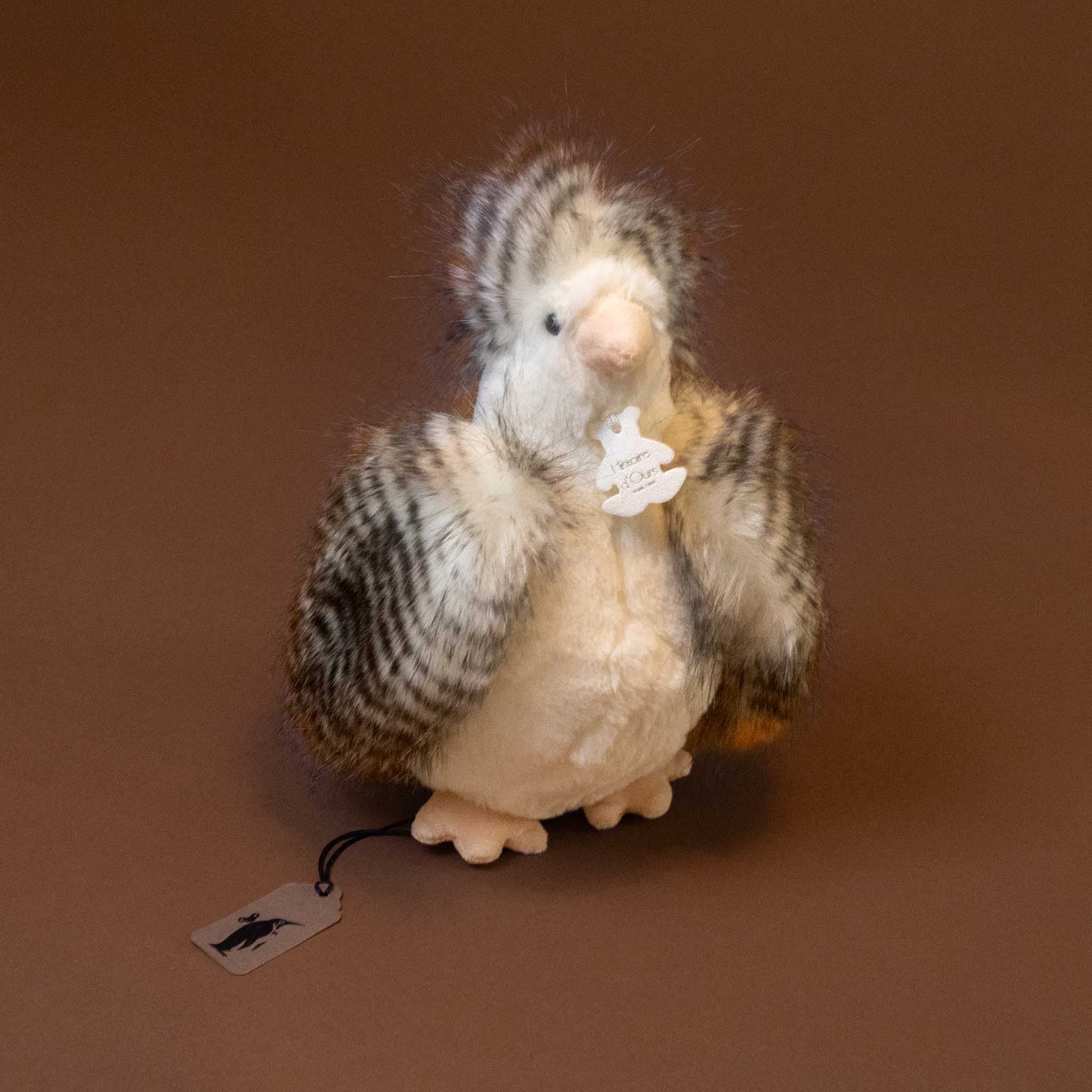 Floofy Chicken | Blanche