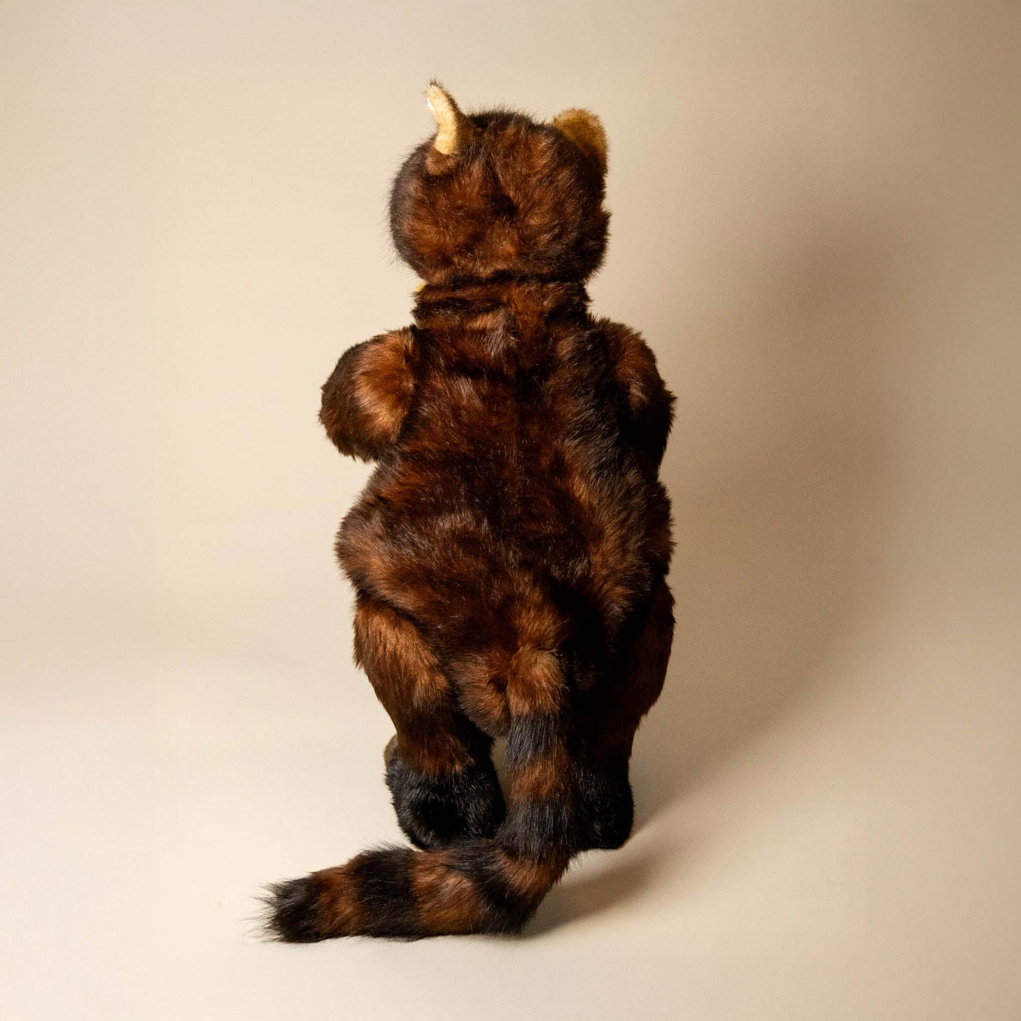 footsteps-the-meandering-mongoose-stuffed-animals-back