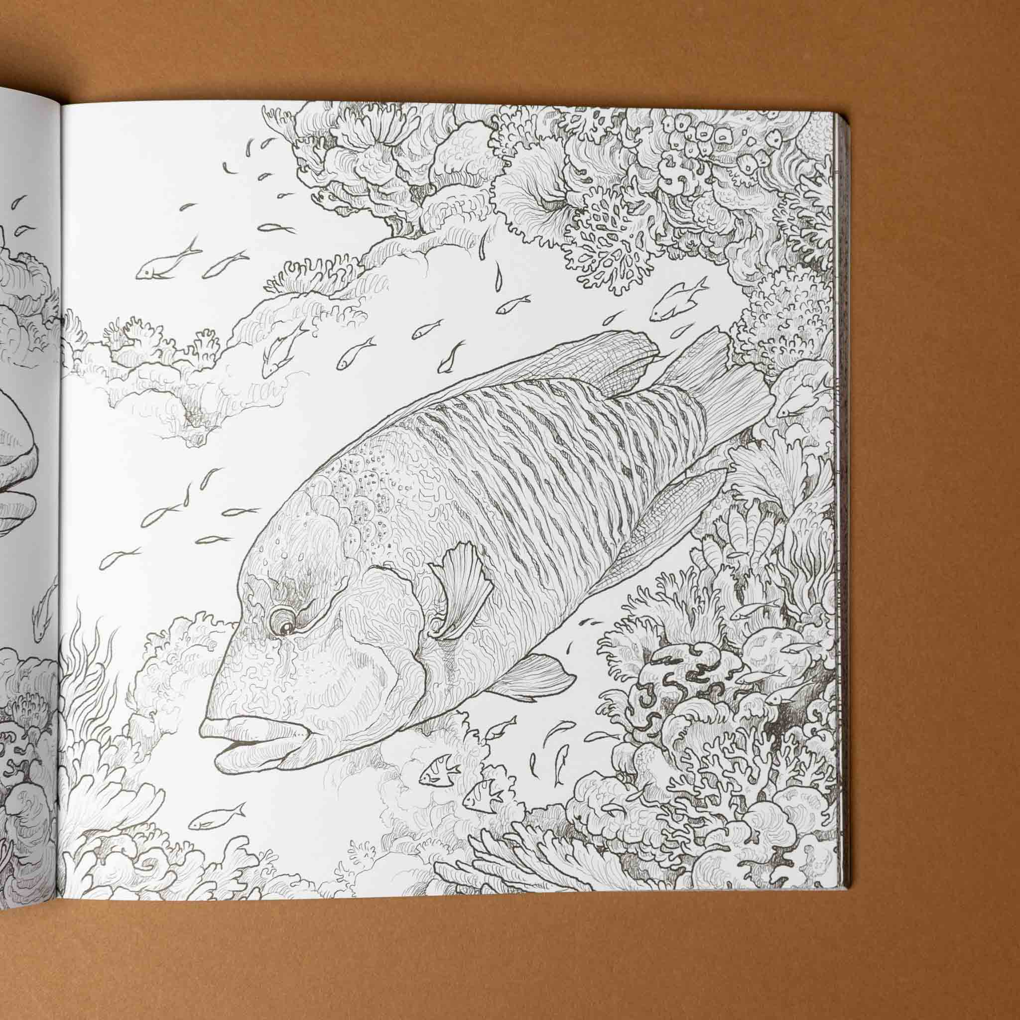 fragile-world-coloring-book-color-natures-wonders-with-fish-in-a-sea-bed