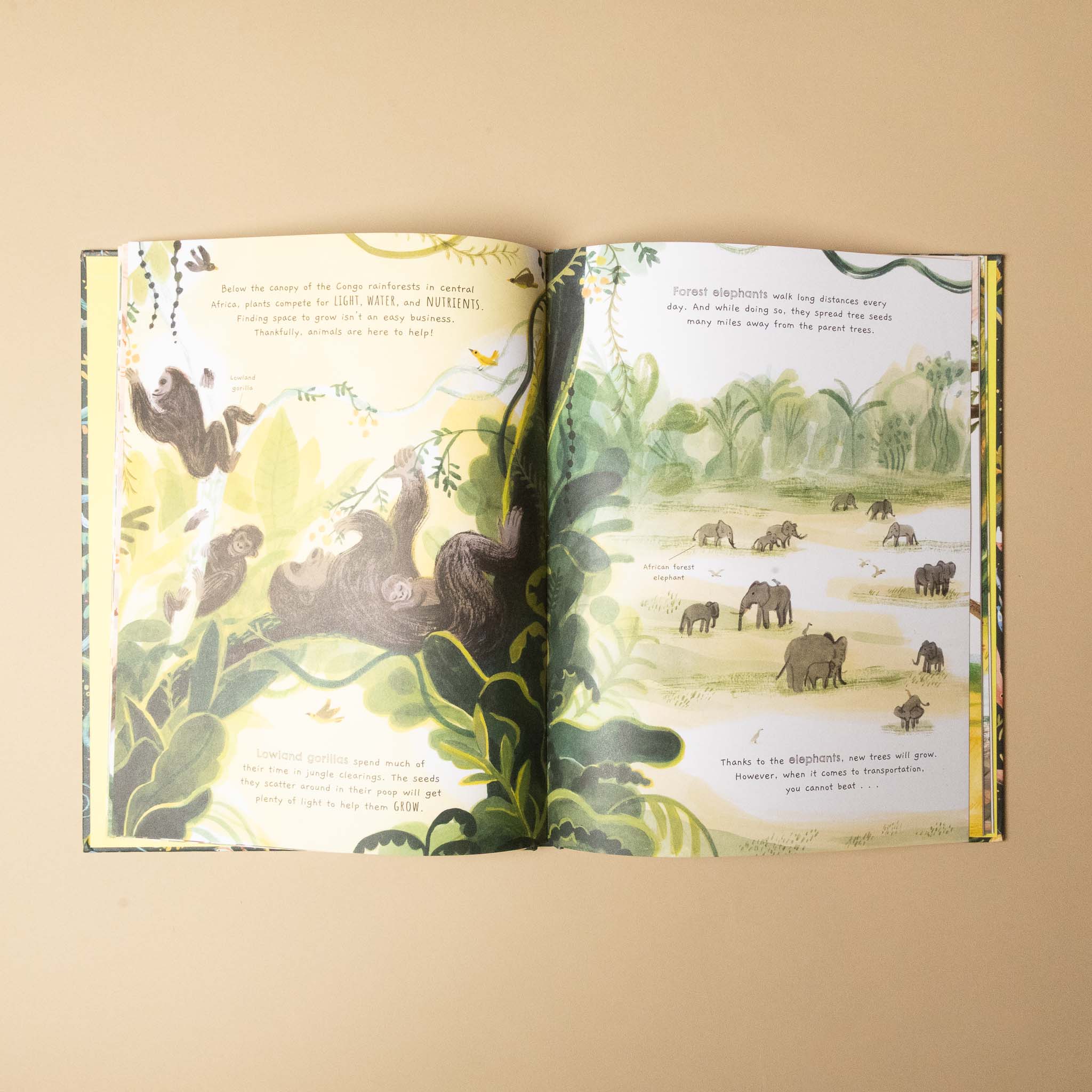 friends-in-nature-discover-earths-amazing-ecosystems