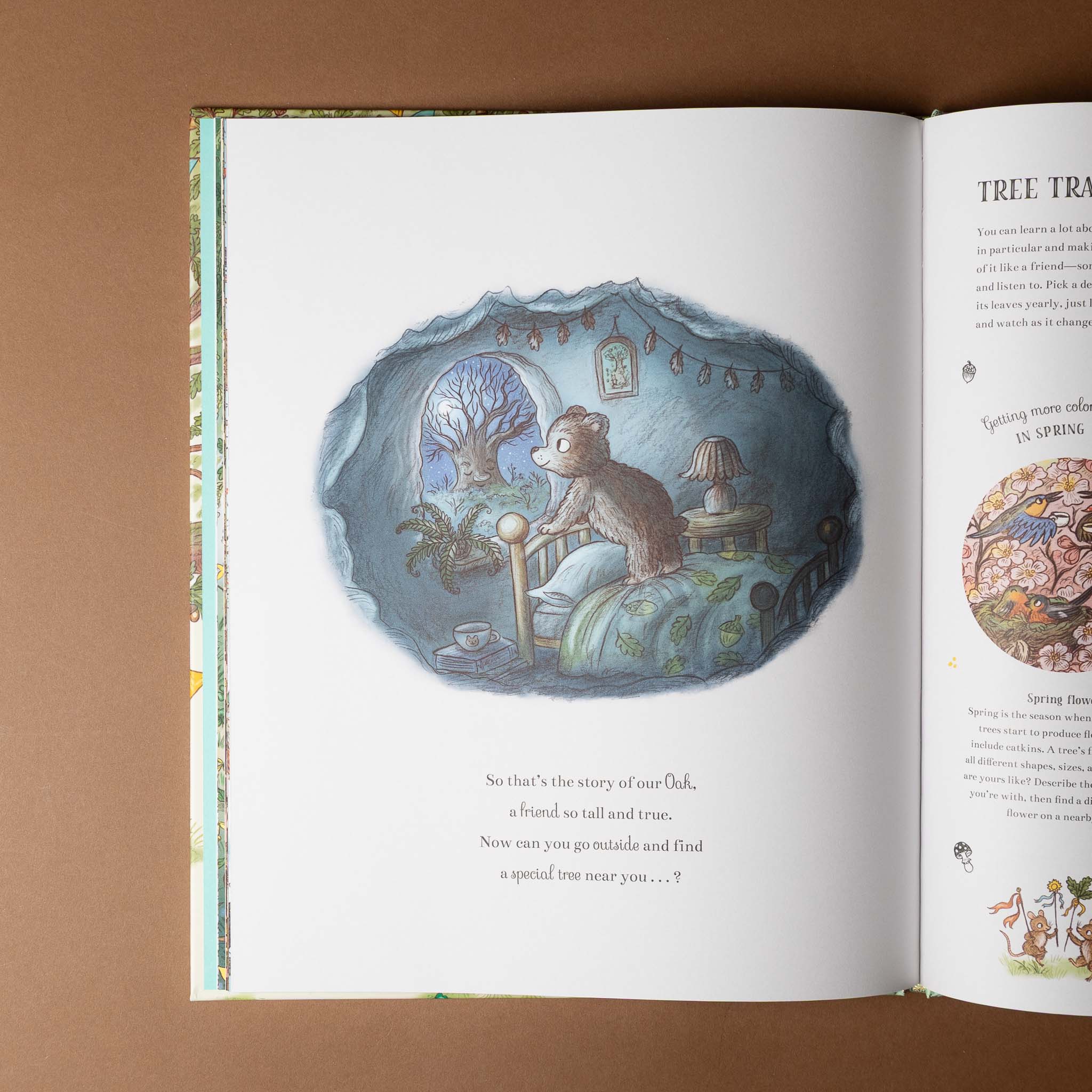 grand-old-oak-and-the-birthday-ball Open book with a colorful illustration of a bear in a room on a brown background