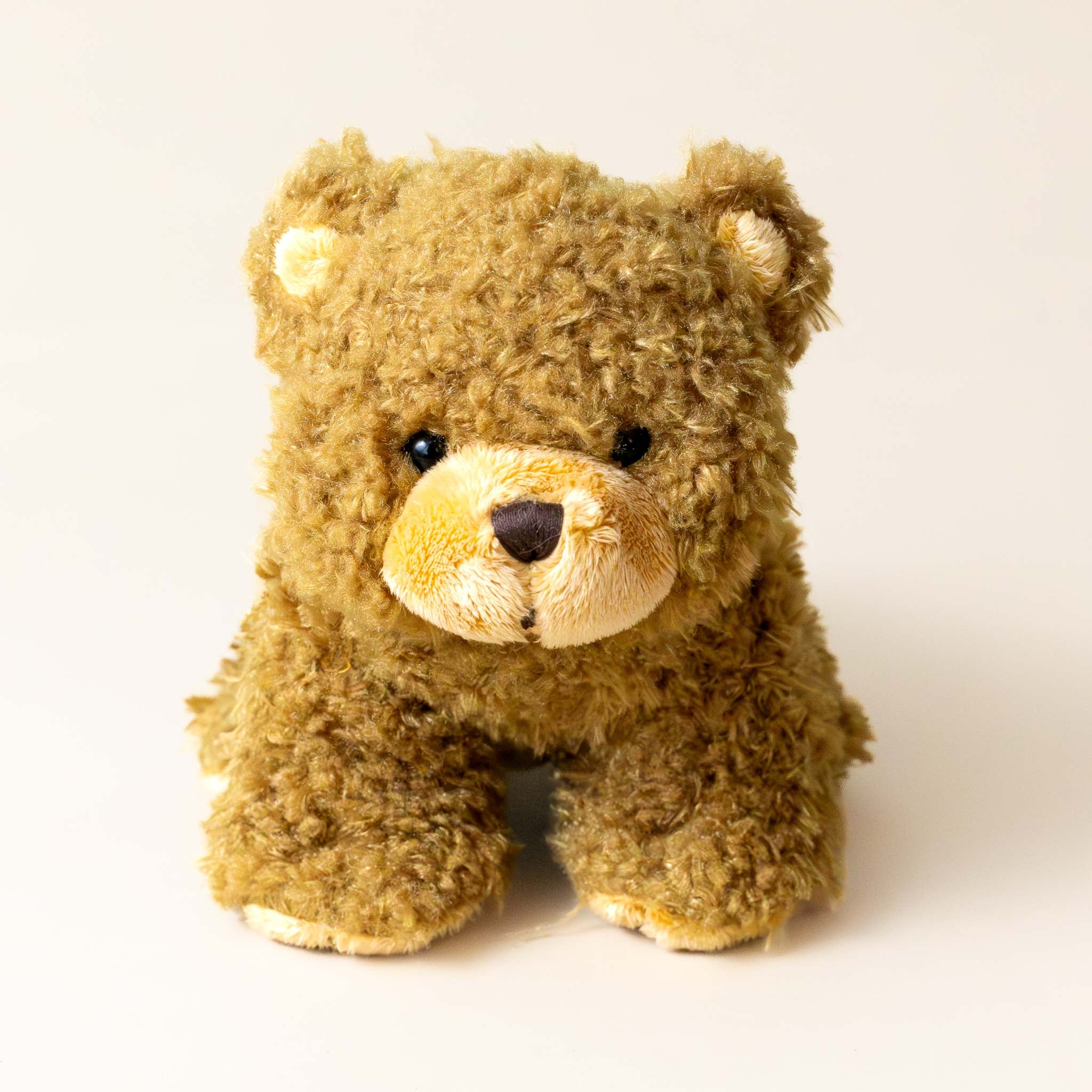 Gus the Bear | Medium