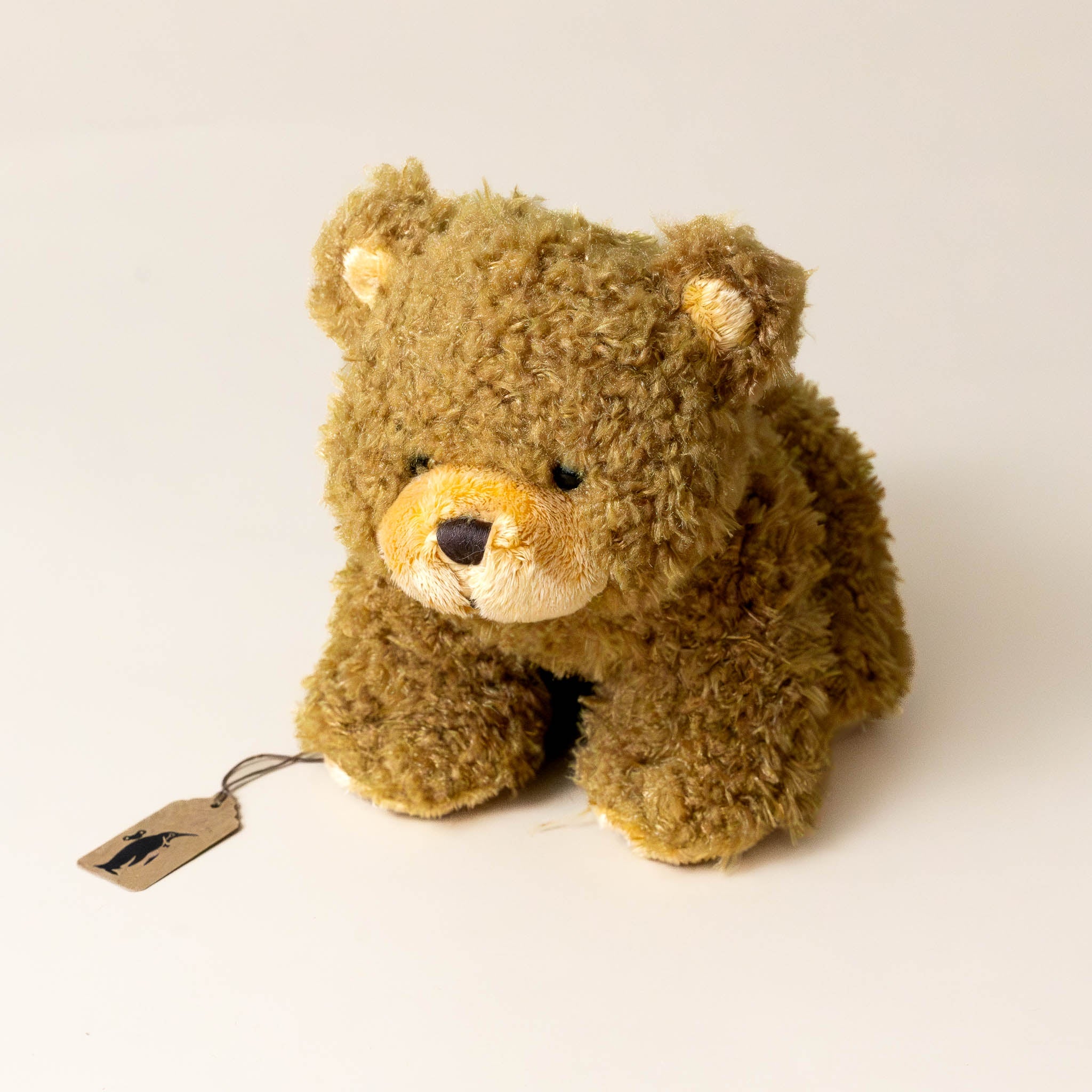 Gus the Bear | Medium