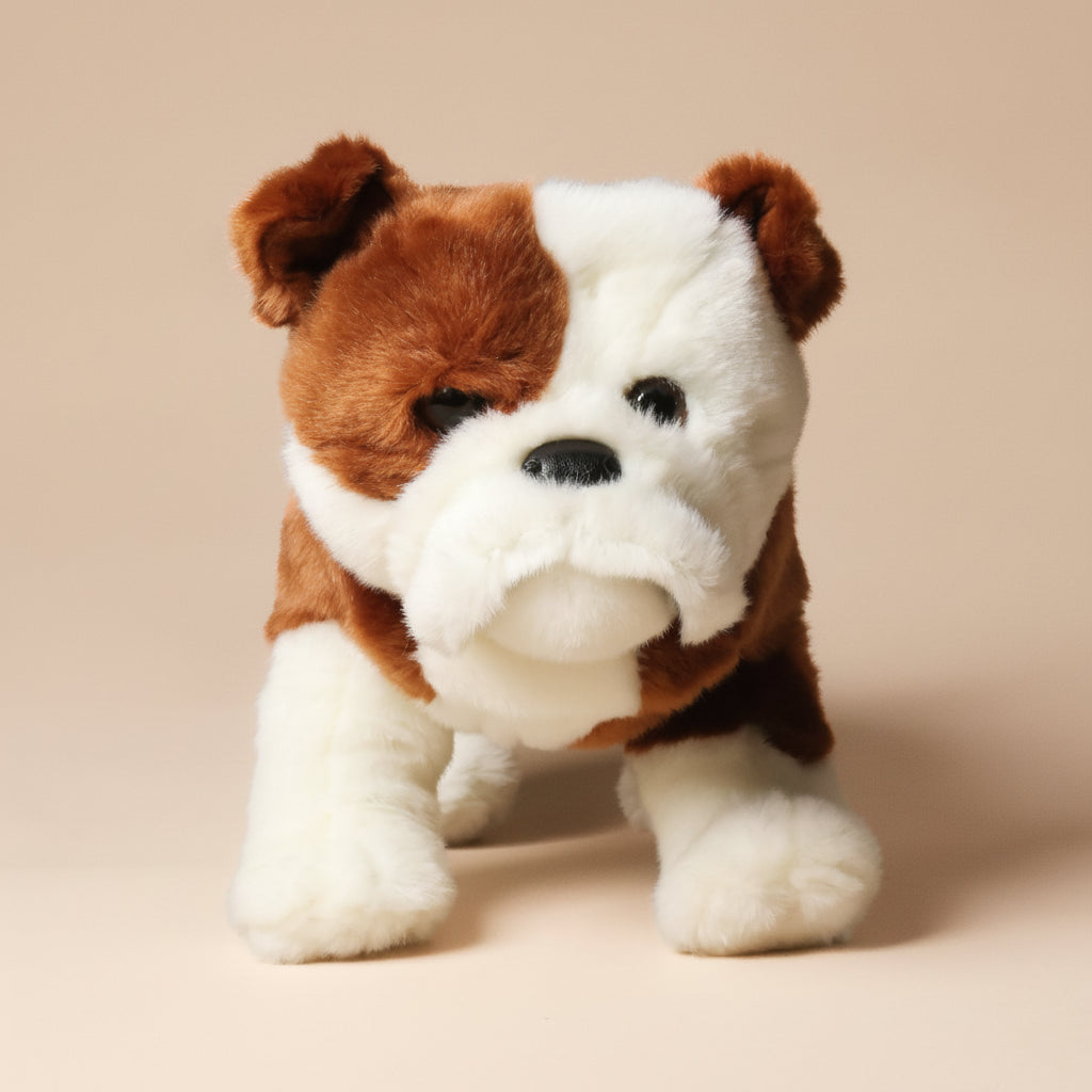 Plush harvey-the-bulldog toy with a tag on a beige background