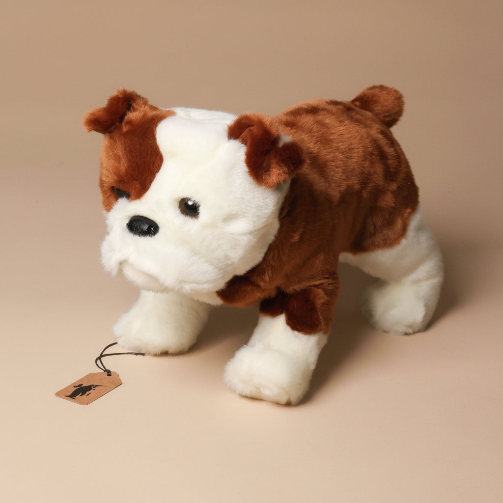 Plush harvey-the-bulldog toy with a tag on a beige background