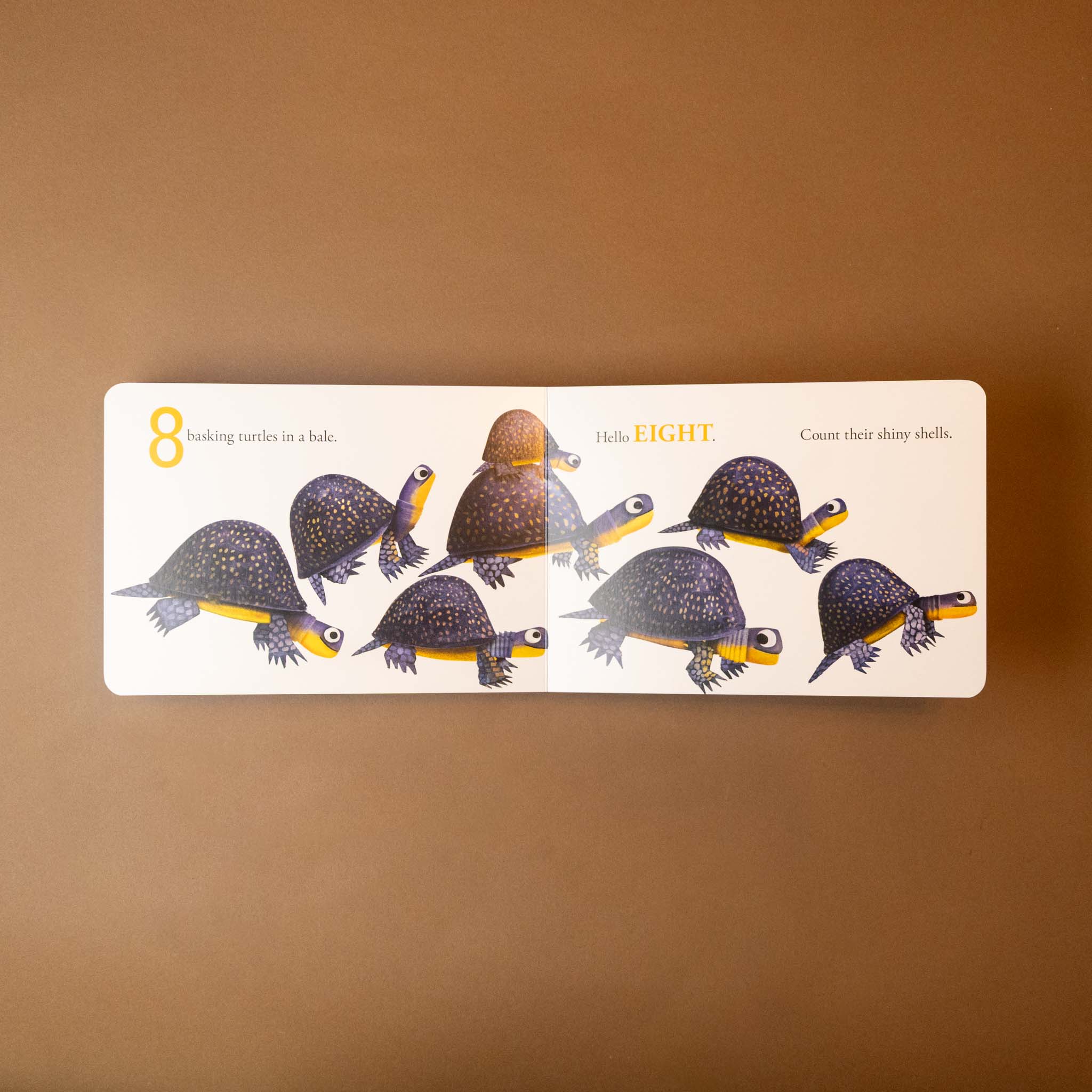 hello-hello-numbers-text-and-illustration-on-8-turtles