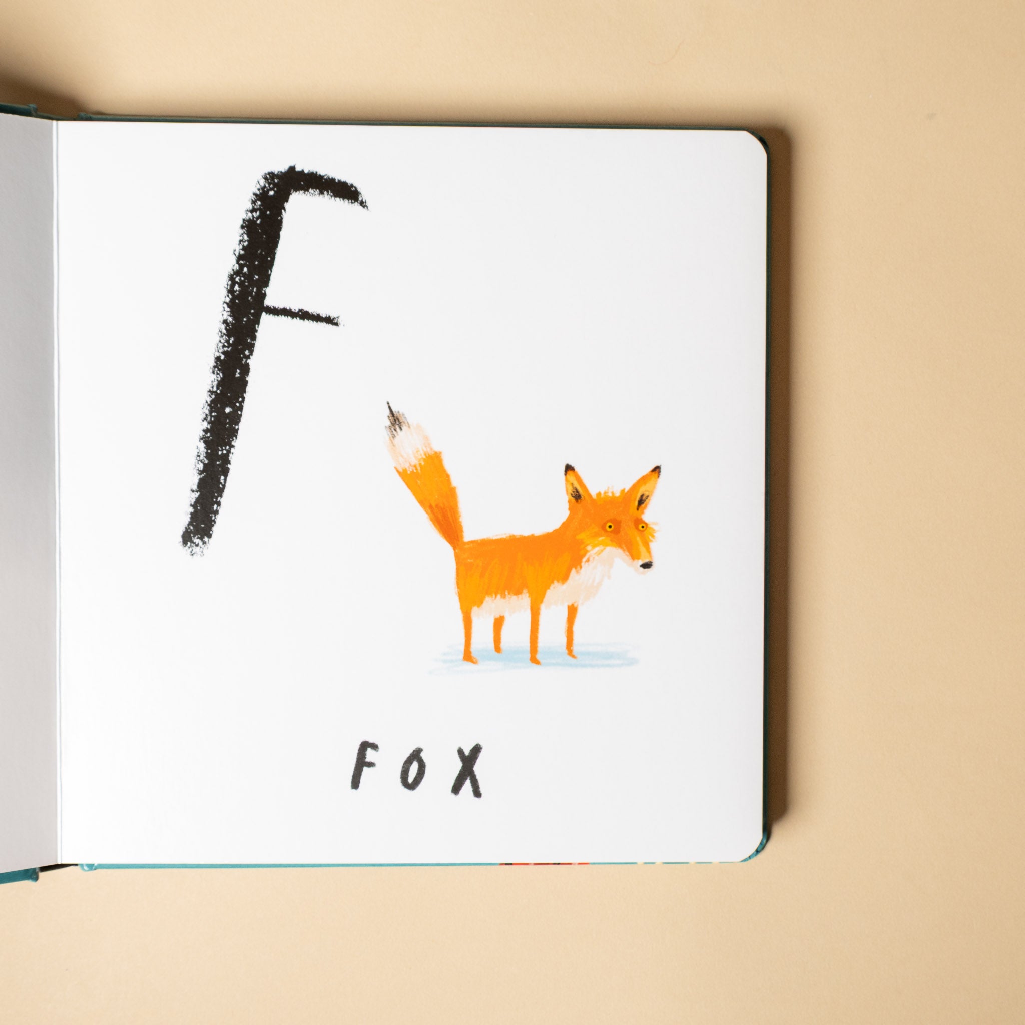 here-we-are--board-book-of-animals Open book with a drawing of a fox and the word 'FOX' on a beige background
