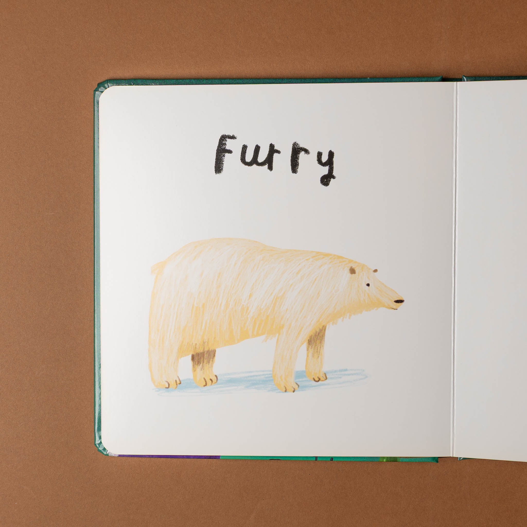 Open book with a drawing of a polar bear here-we-are-board-book-of-opposites and the word 'Furry' on a brown background