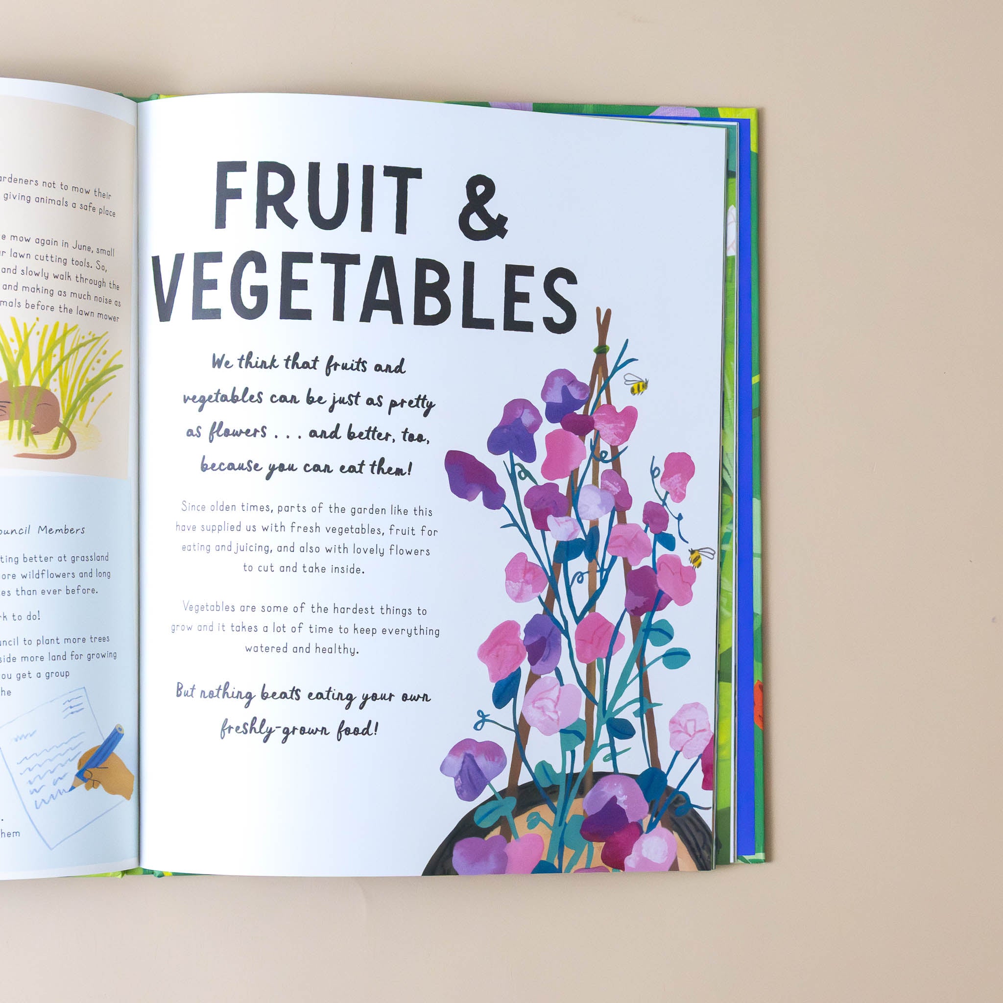 how-to-grow-a-garden-book-illustration-and-text-titled-fuit-and-vegetables