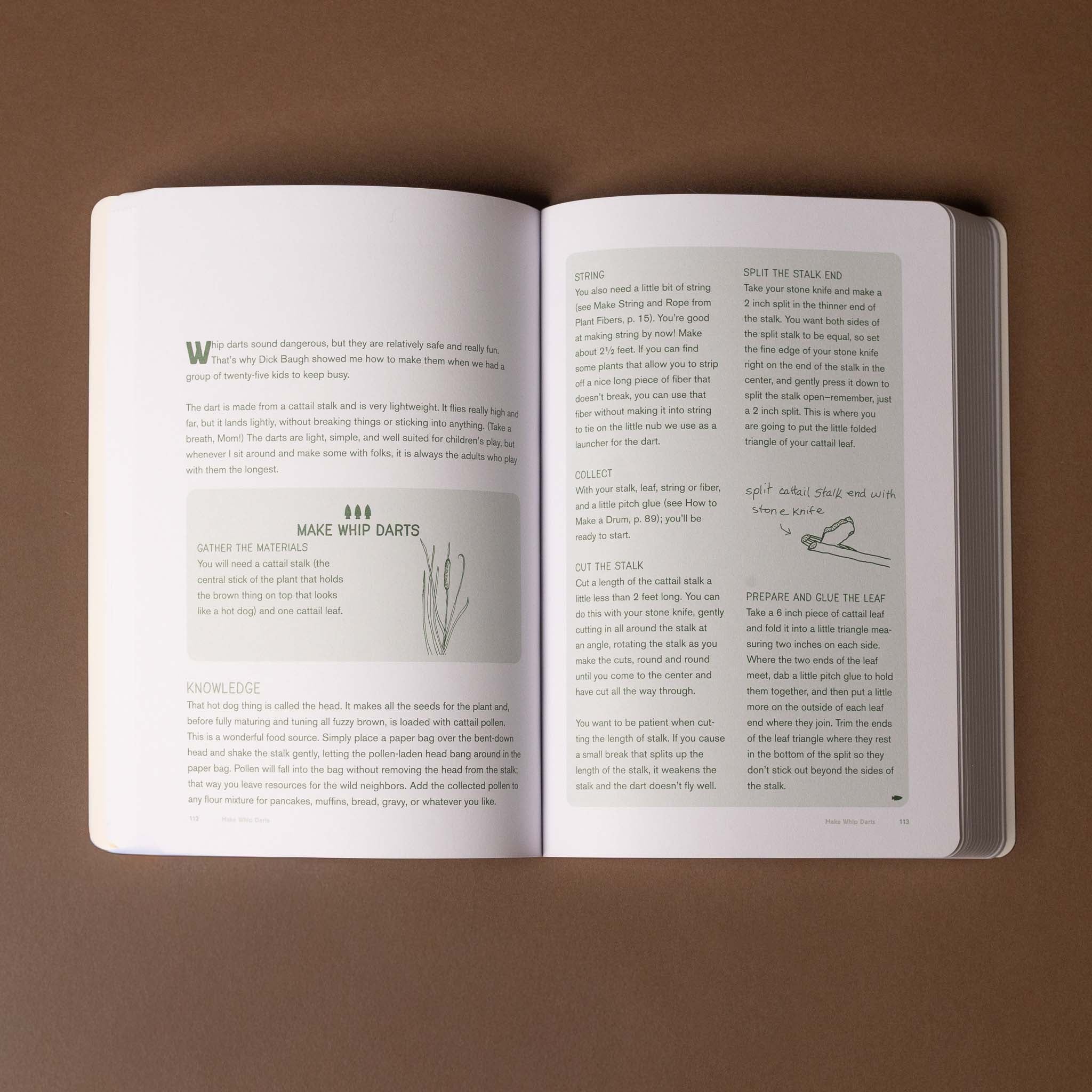 Open how-to-play-in-the-woods-book on a brown background