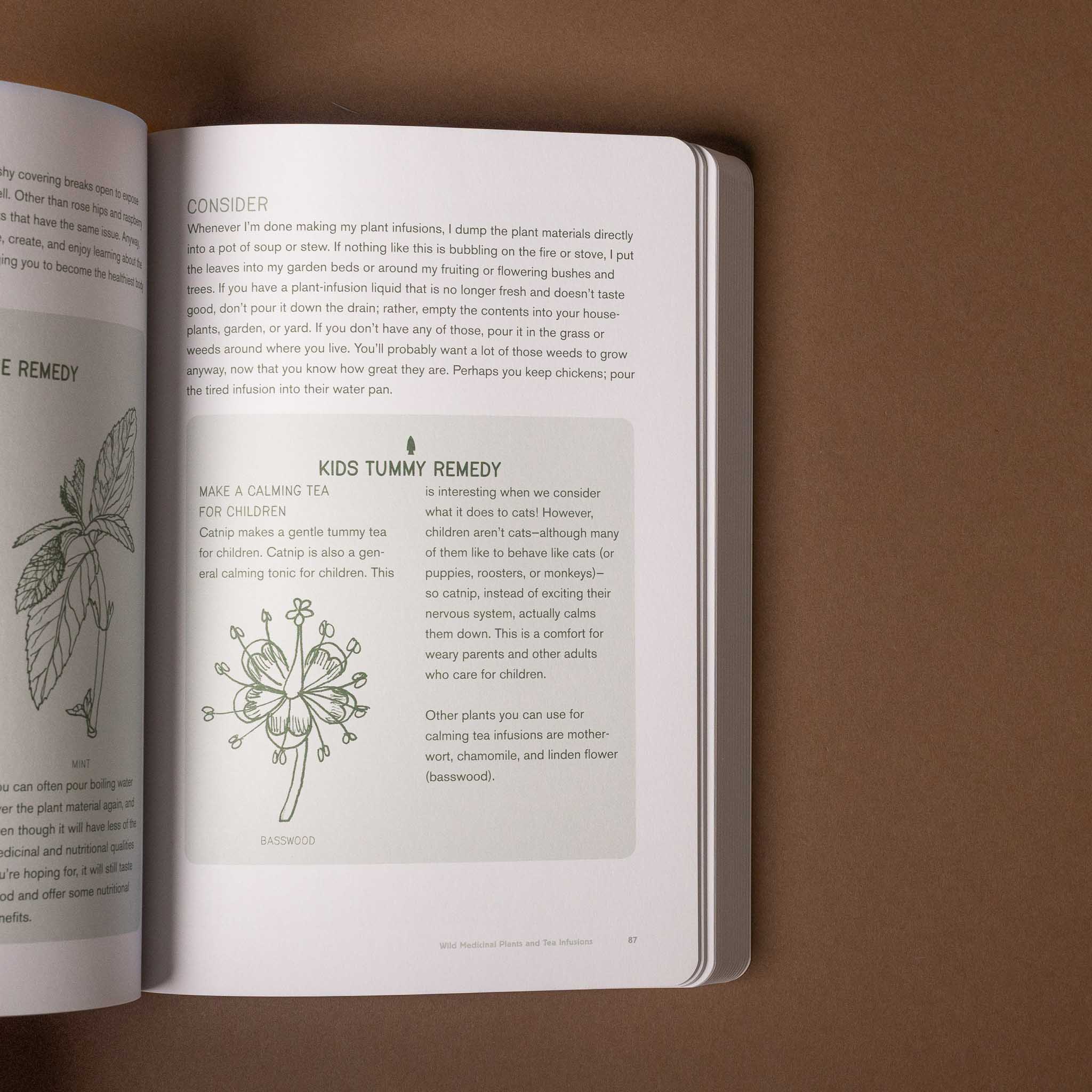 Open how-to-play-in-the-woods-book on a brown background with text and illustrations