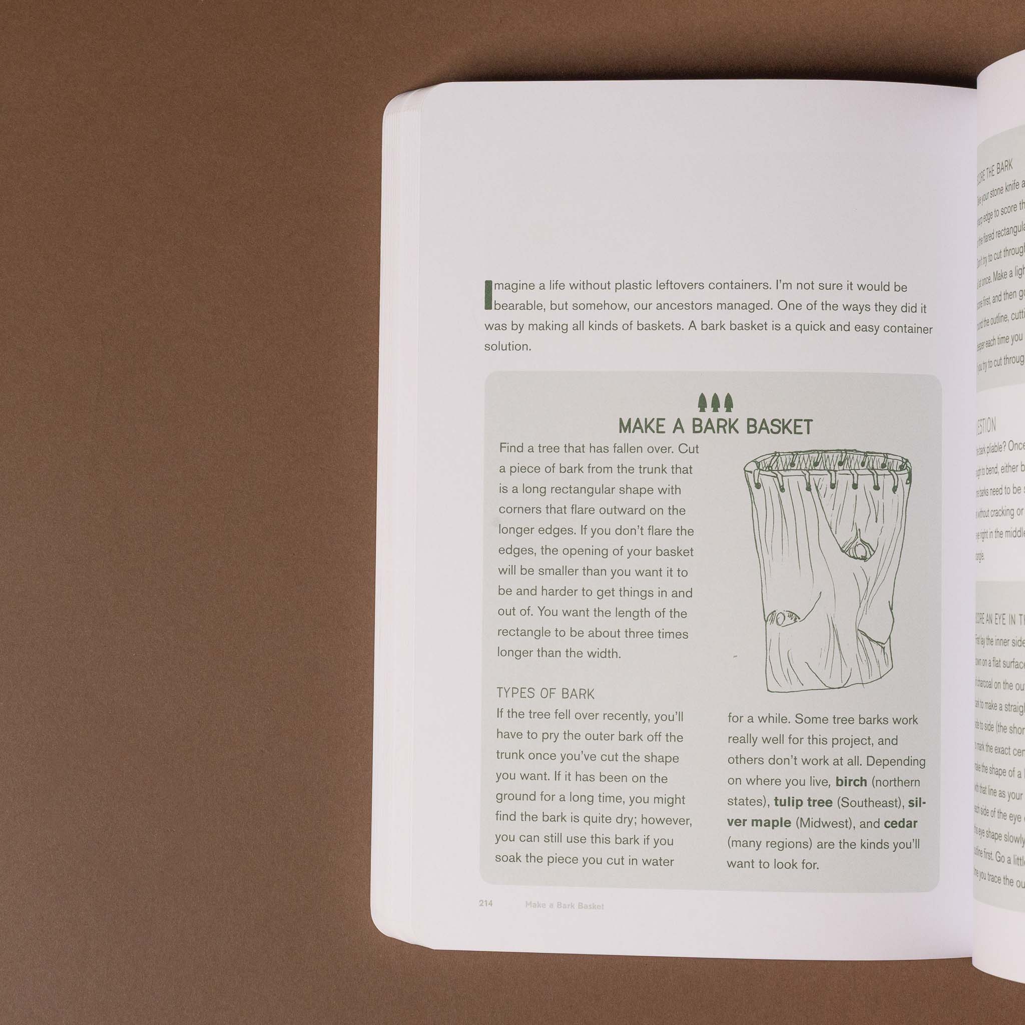 Open how-to-play-in-the-woods-book with text and a diagram on a brown background