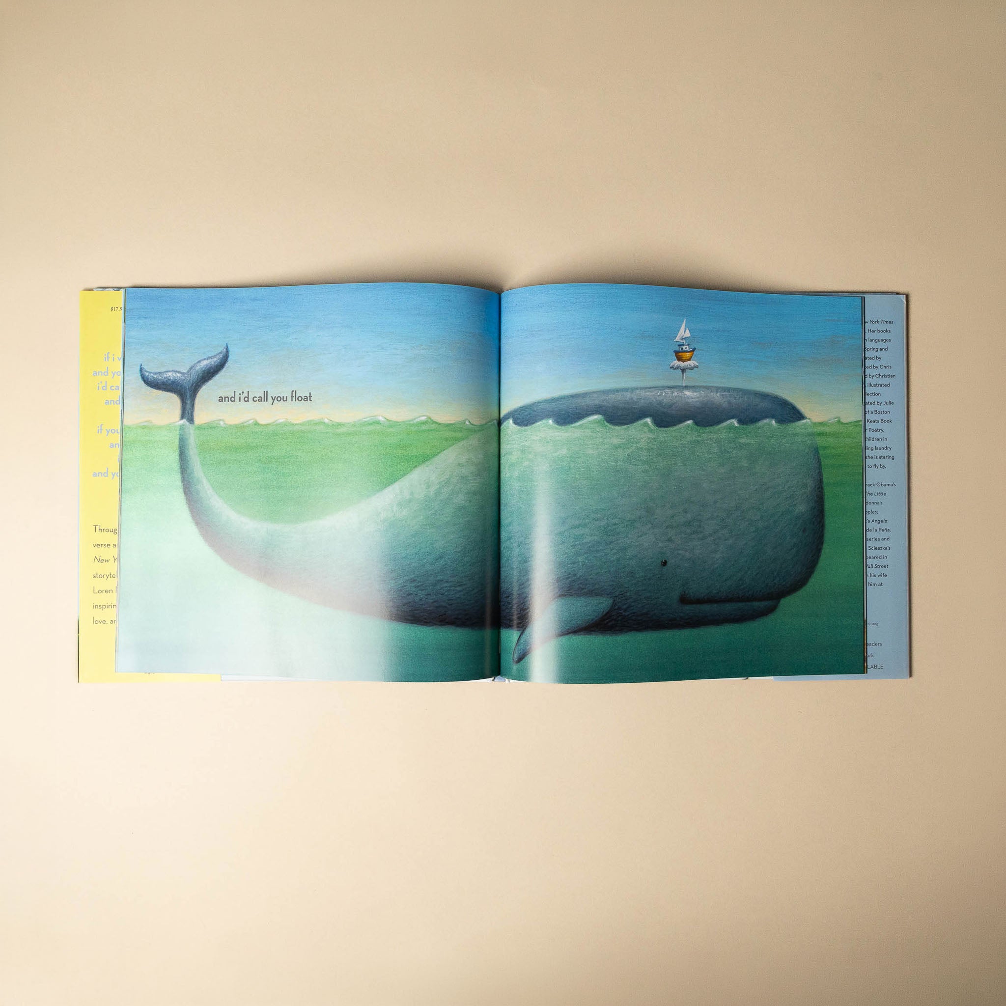 If I Was the Sunshine Book