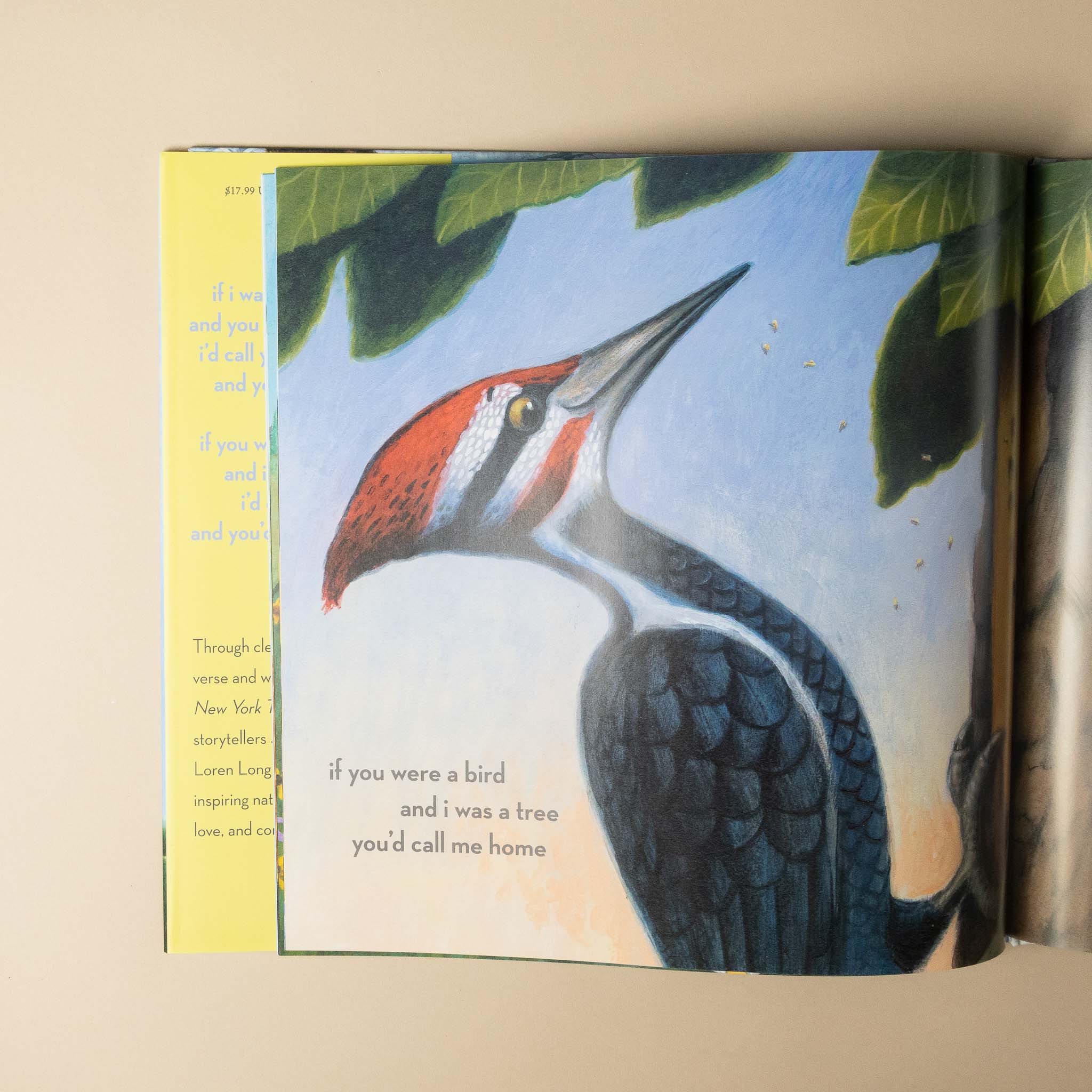 If I Was the Sunshine Book