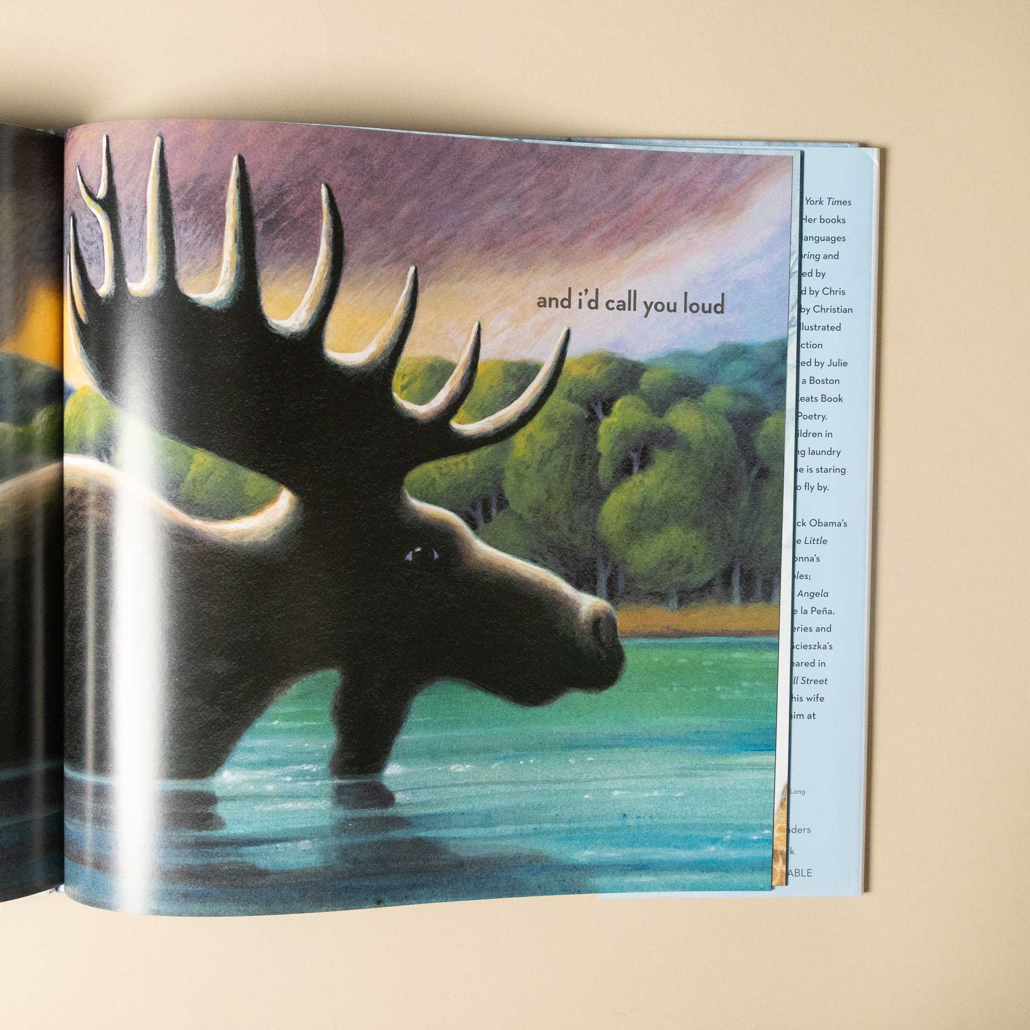 If I Was the Sunshine Book