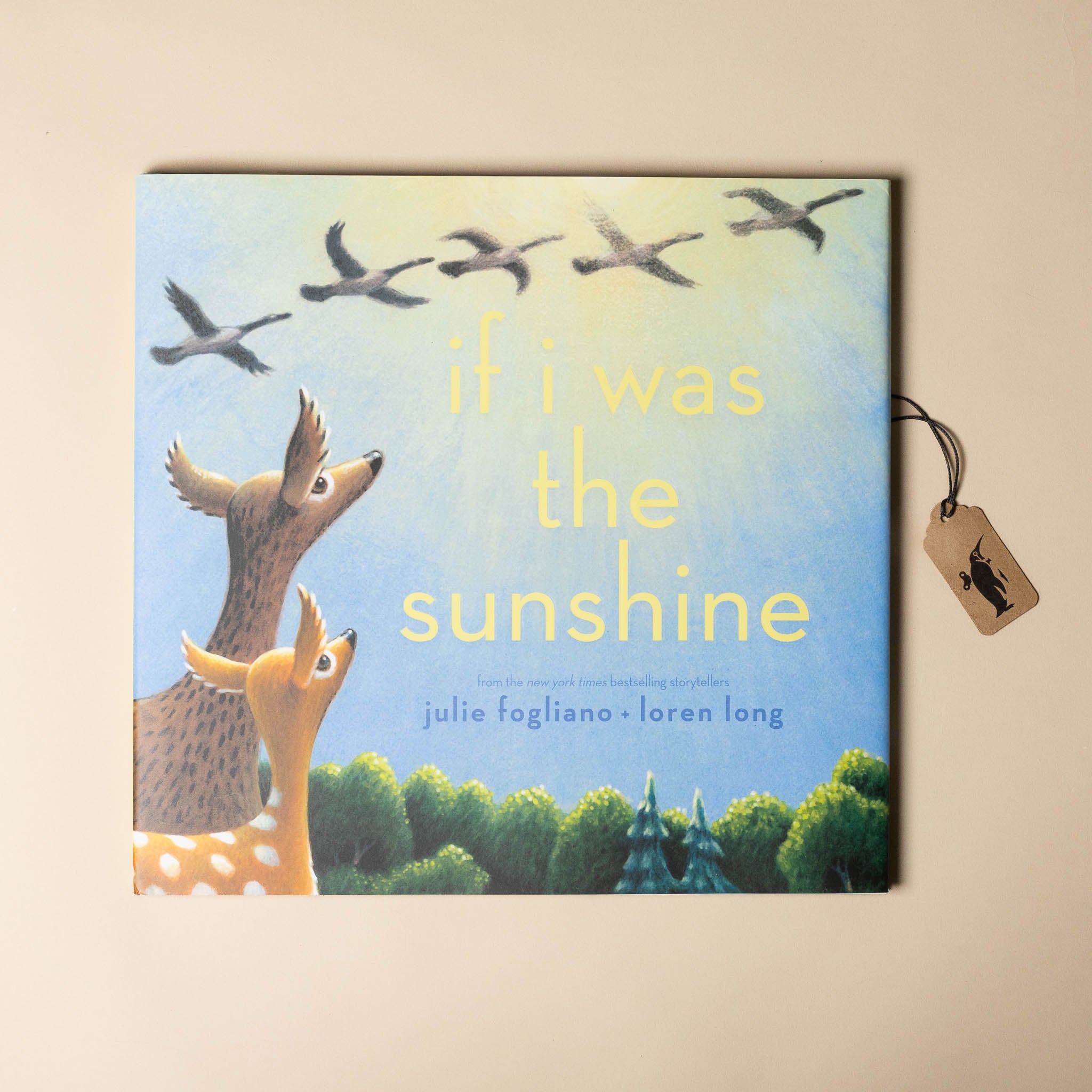 If I Was the Sunshine Book