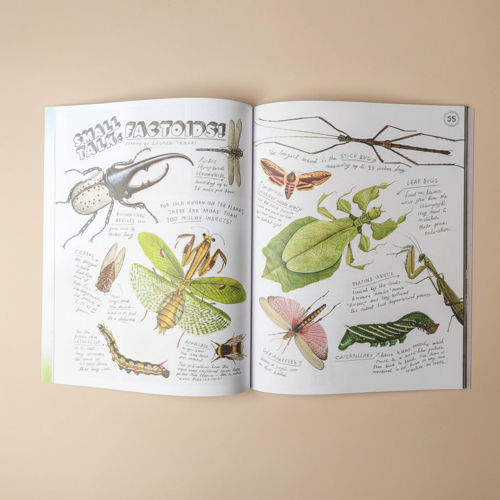 Open book showing illustrations of insects with text on a beige background