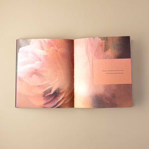 interior-page-with-rose-image-with-encouraging-words