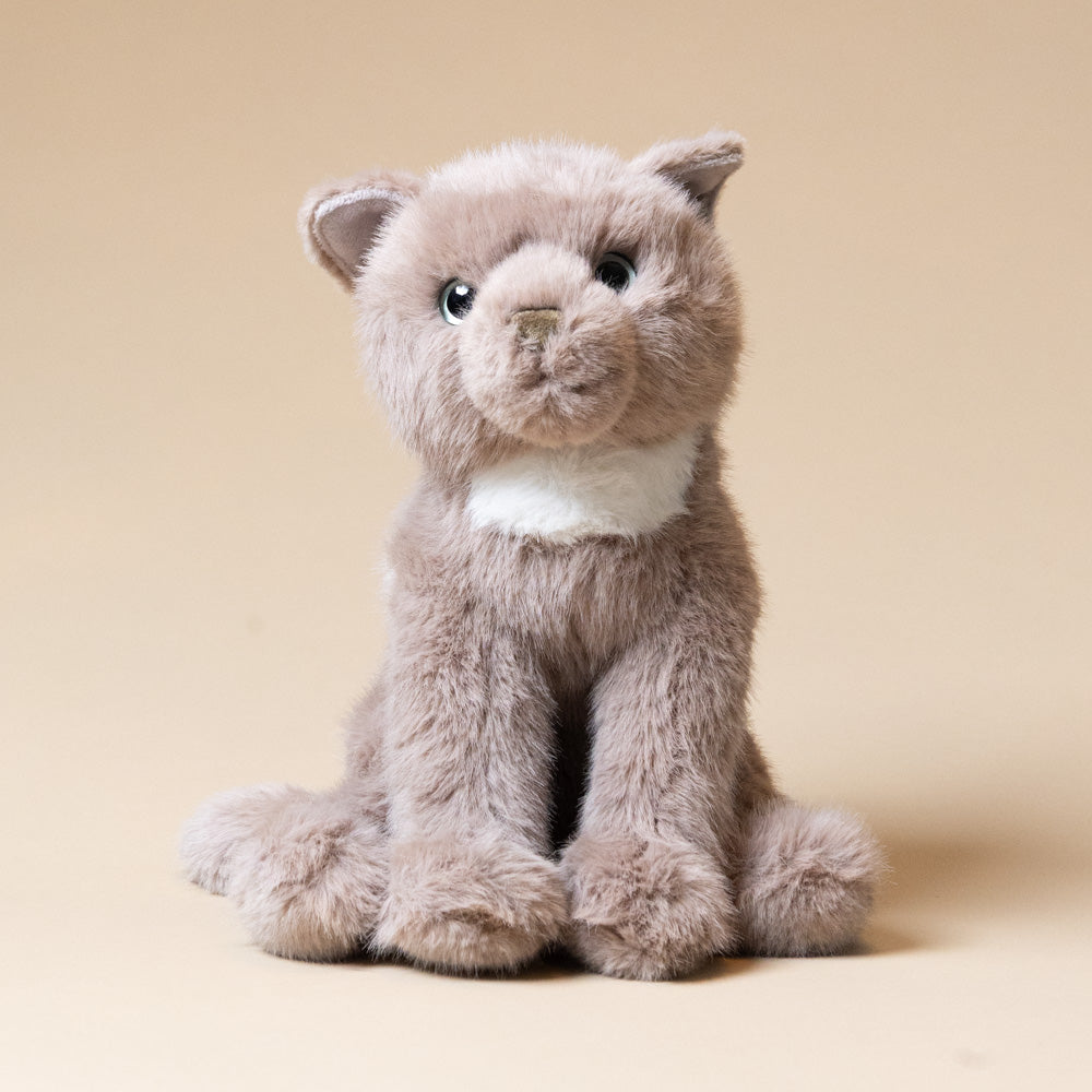 kneadie-the-cat Plush toy cat on a beige background