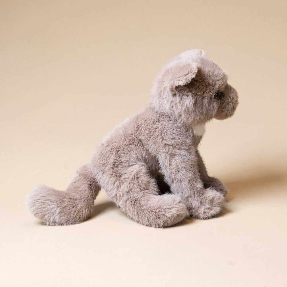 kneadie-the-cat-stuffed-animal
