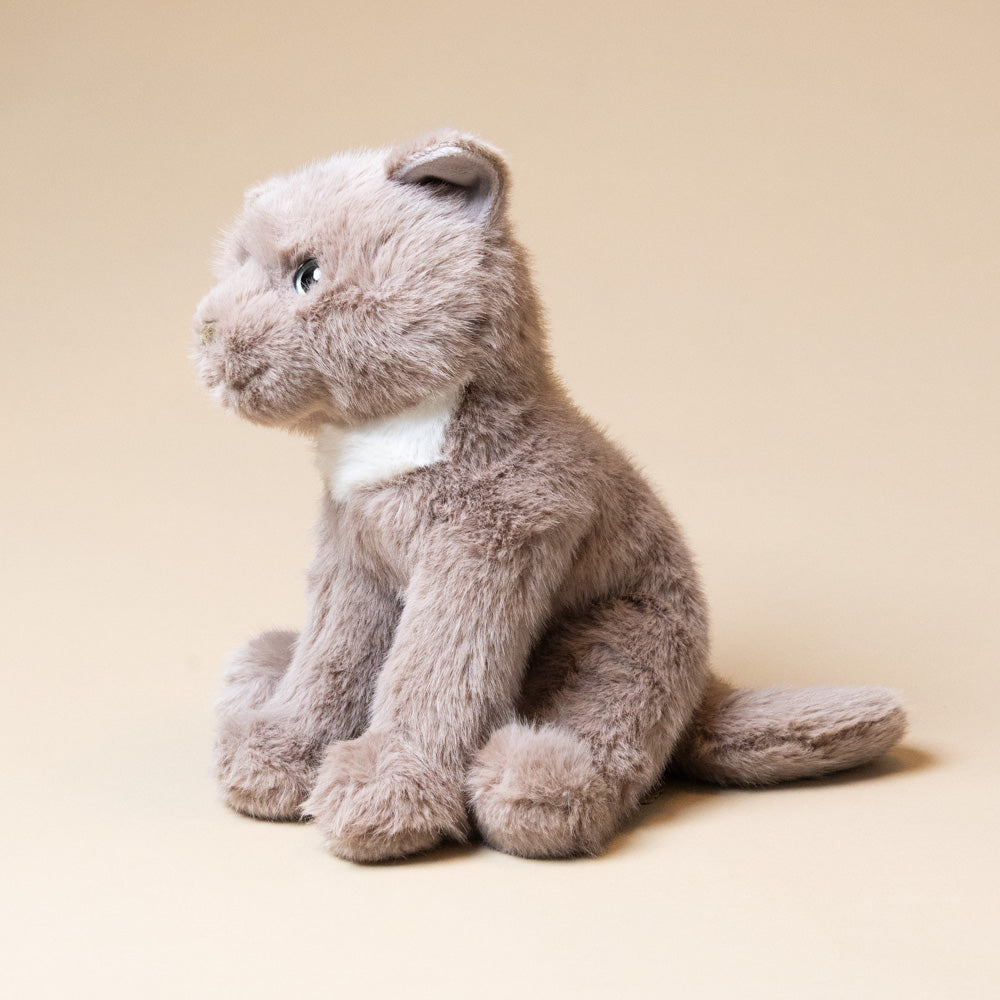 kneadie-the-cat Plush toy cat sitting on a beige background
