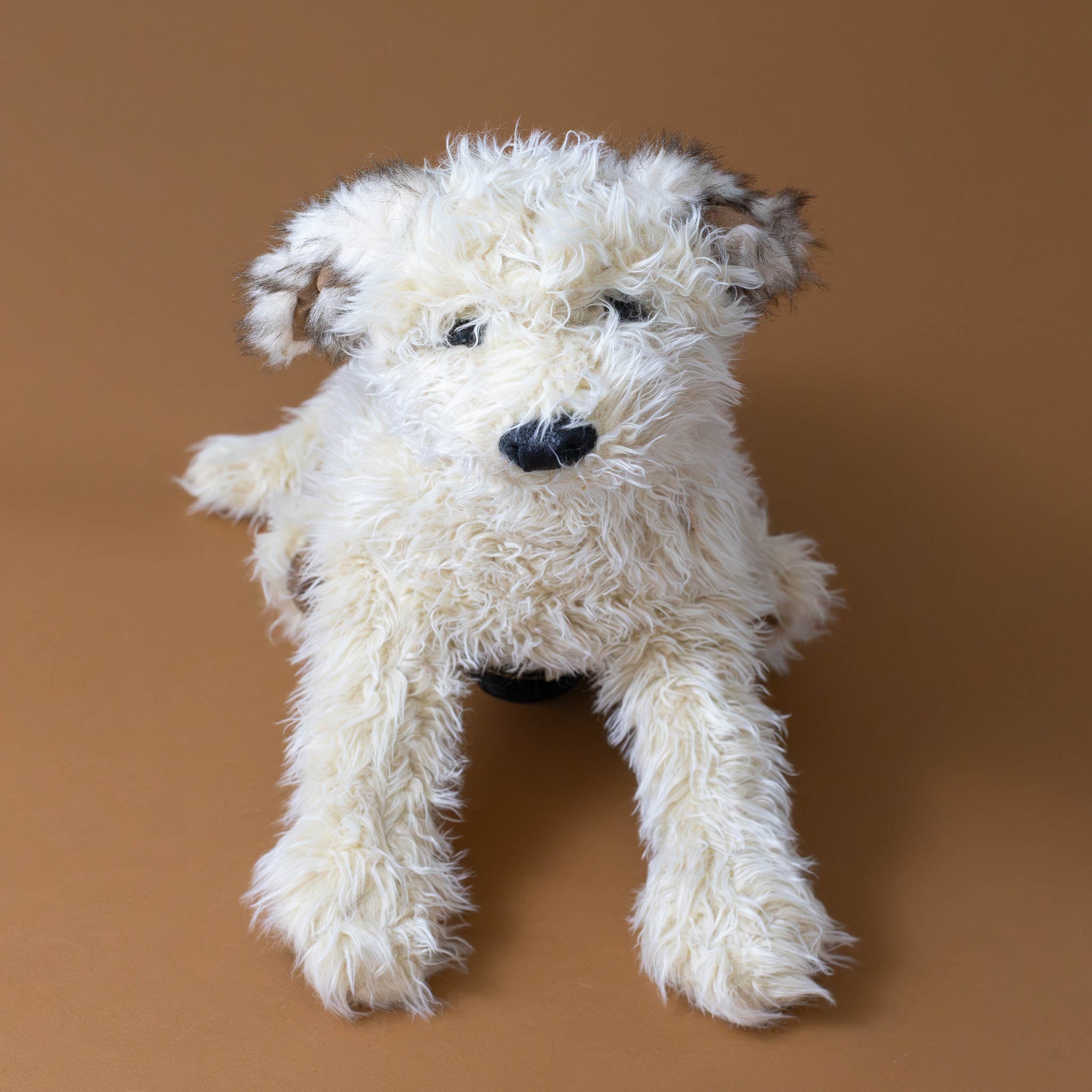 cream-labradoodle-hand-puppet-front