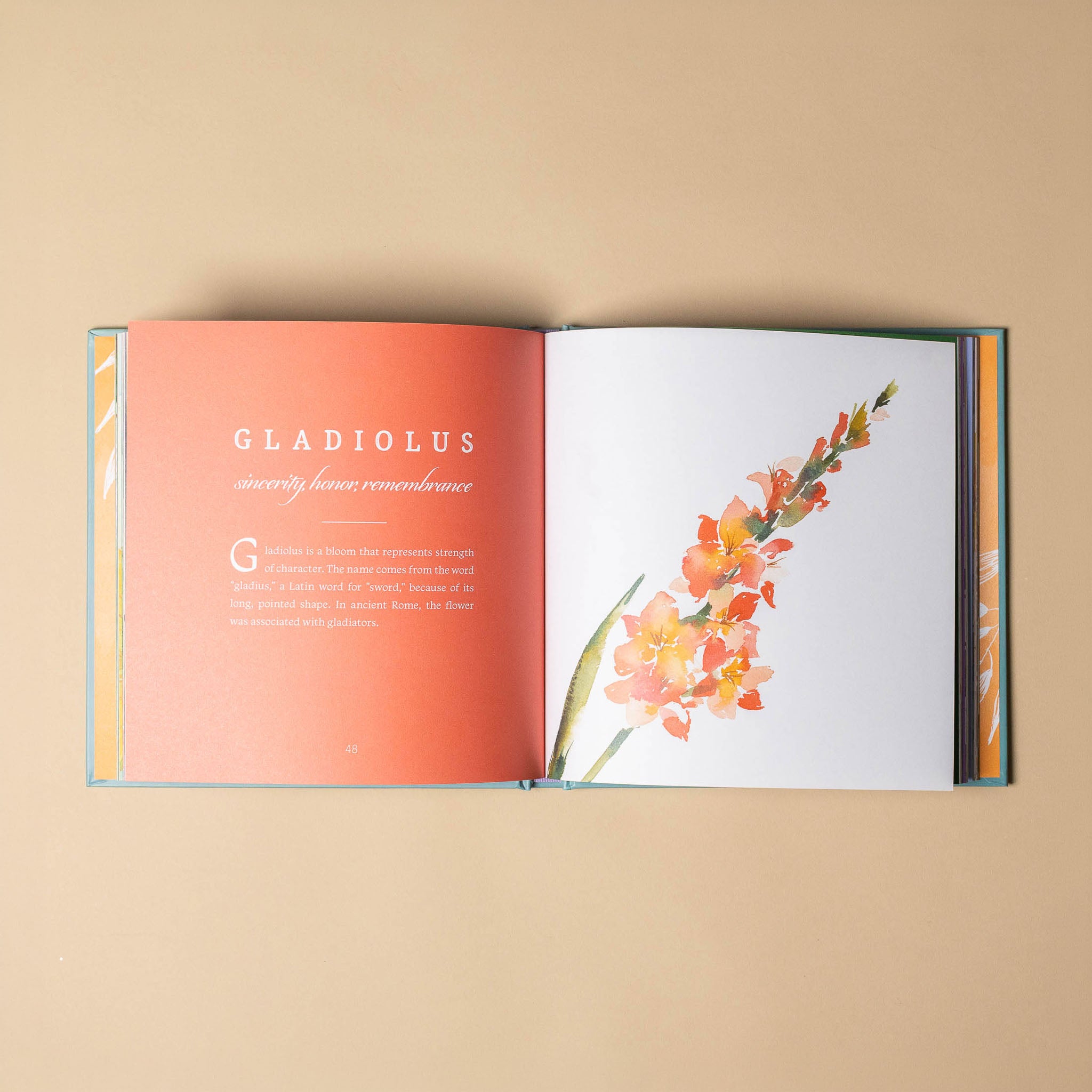 Open language-of-flowers-book with a page about gladiolus flowers on a beige background