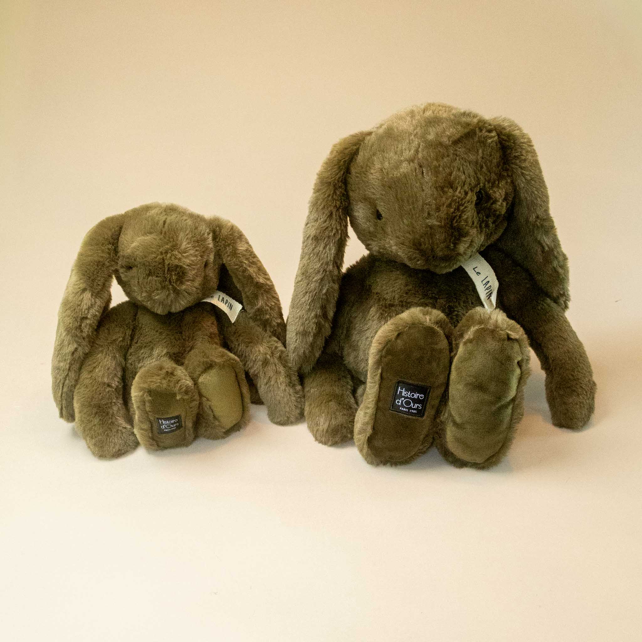 Lapin Bunny | Forest - Grand