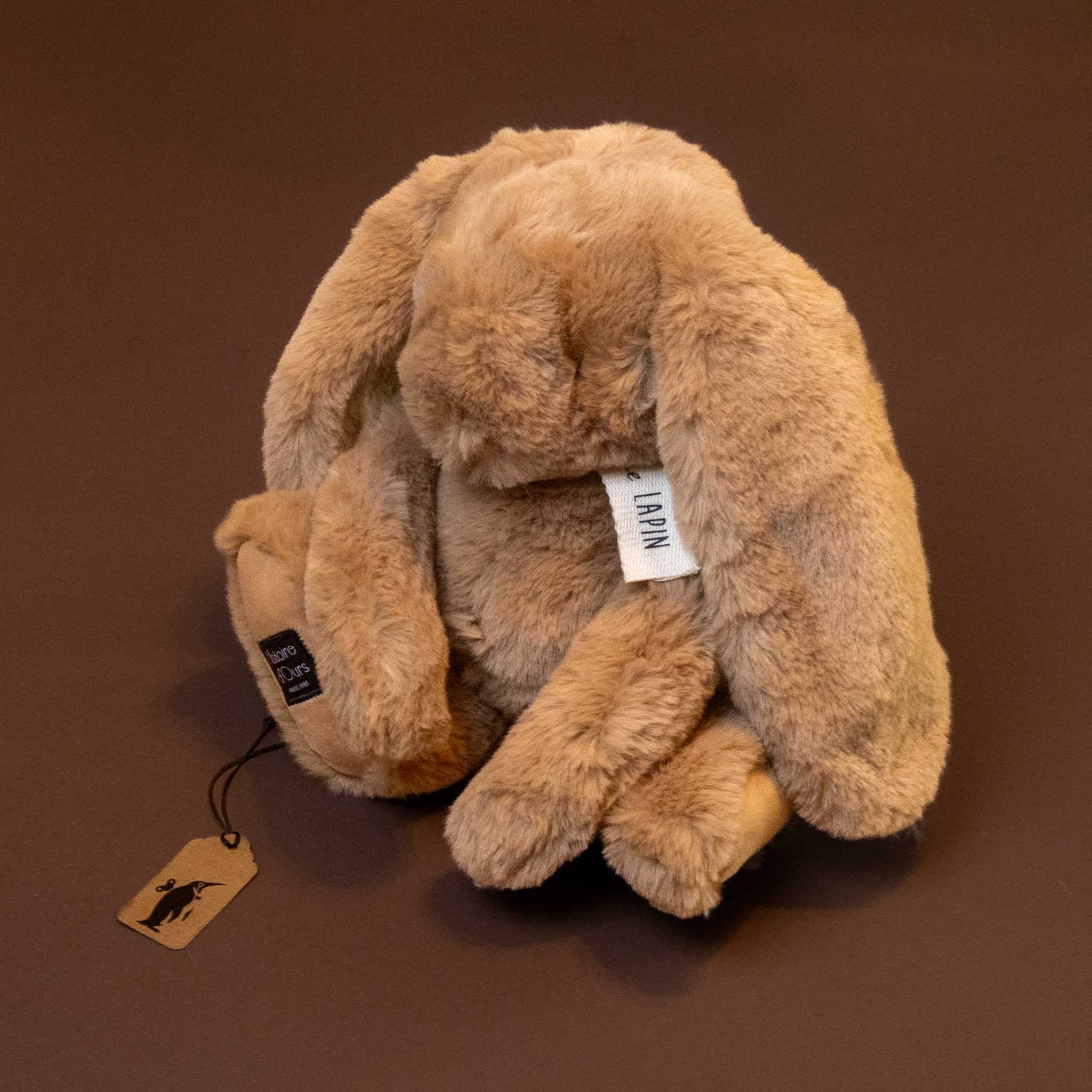 lapin-bunny--hazelnut---petit