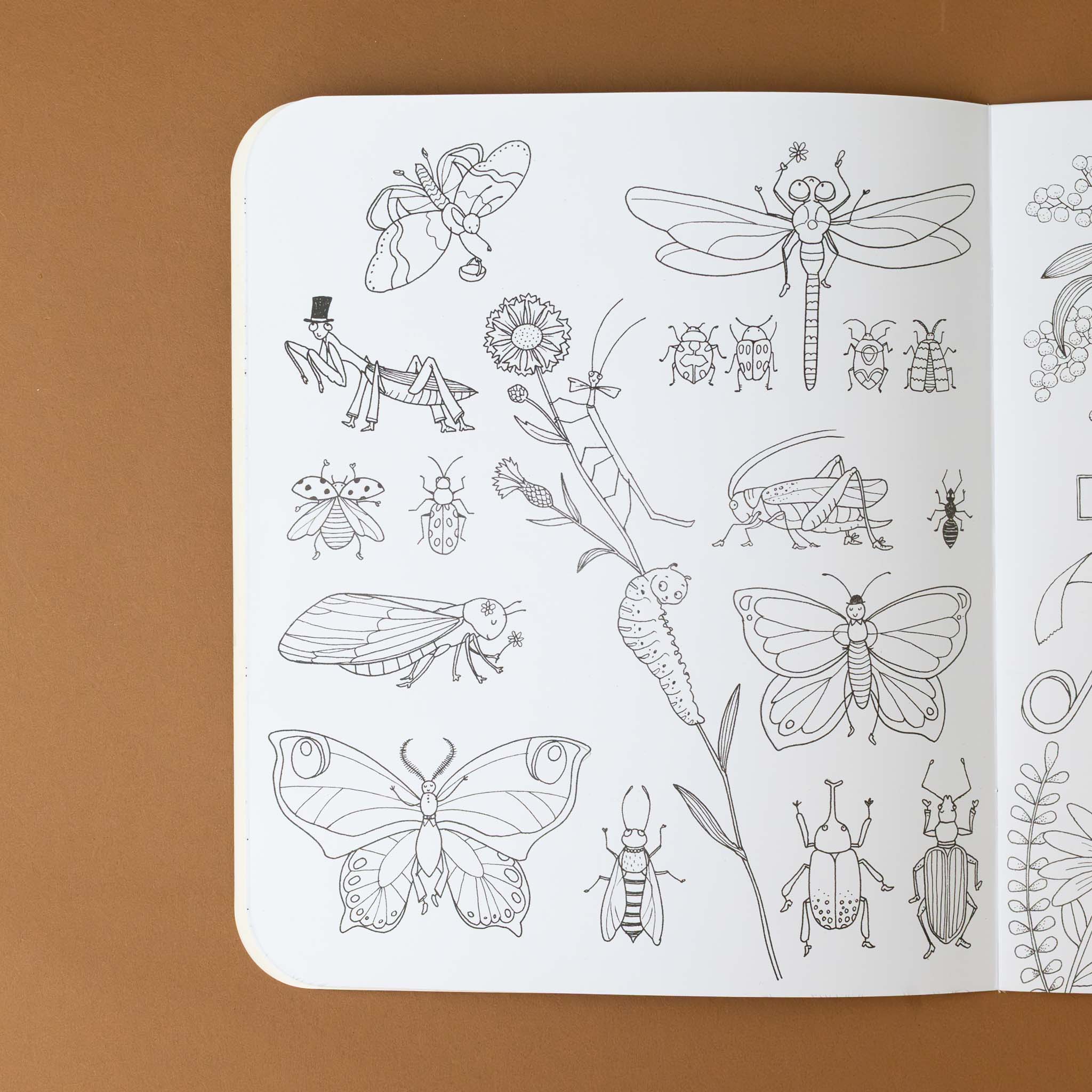 le-botaniste-coloring-and-sticker-book-with-butterflies-dragonflies-praying-mantis-and-other-bugs-on-black-and-white-drawing