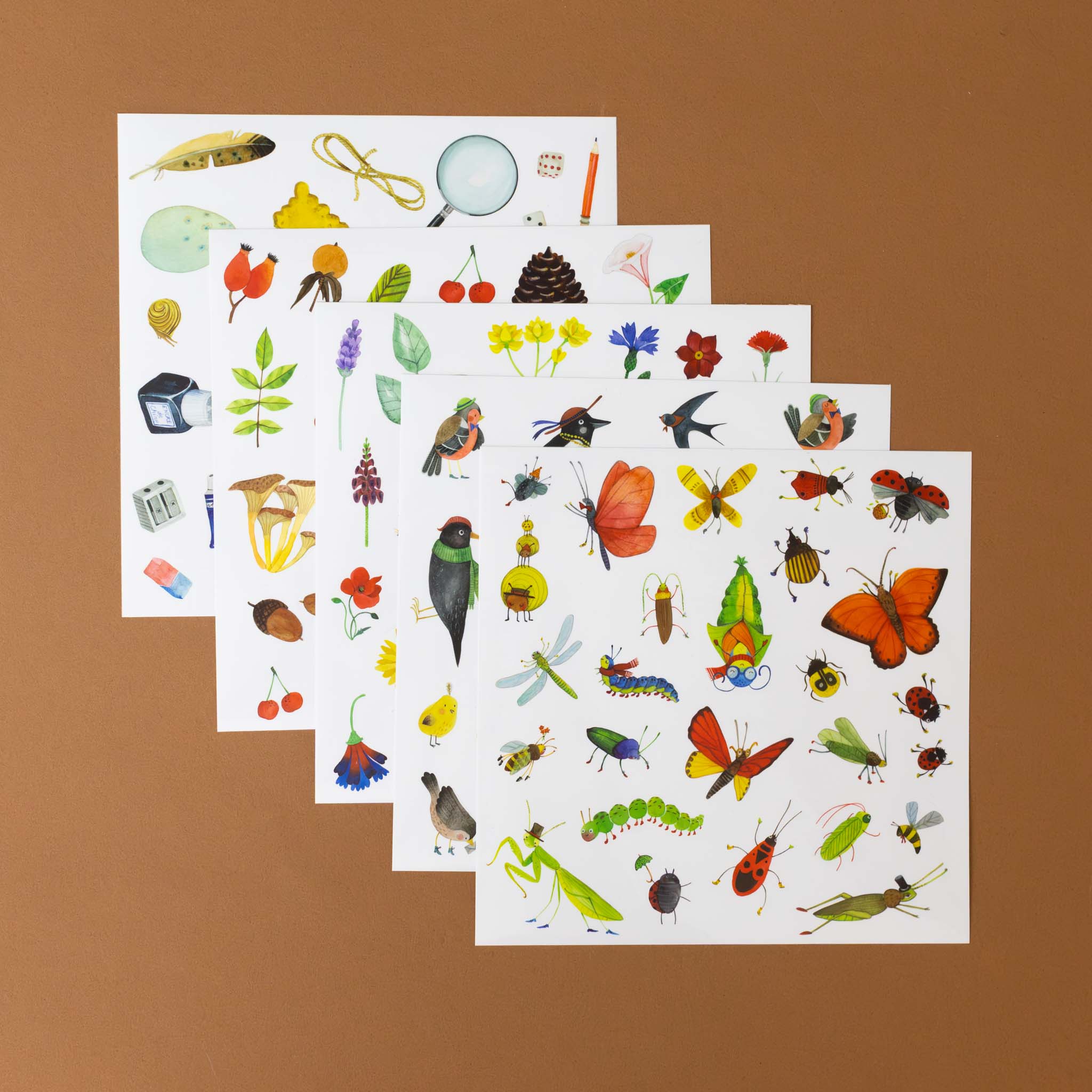 e-botaniste-coloring-and-sticker-book-with-butterflies-dragonflies-praying-mantis-and-other-bugs-stickers