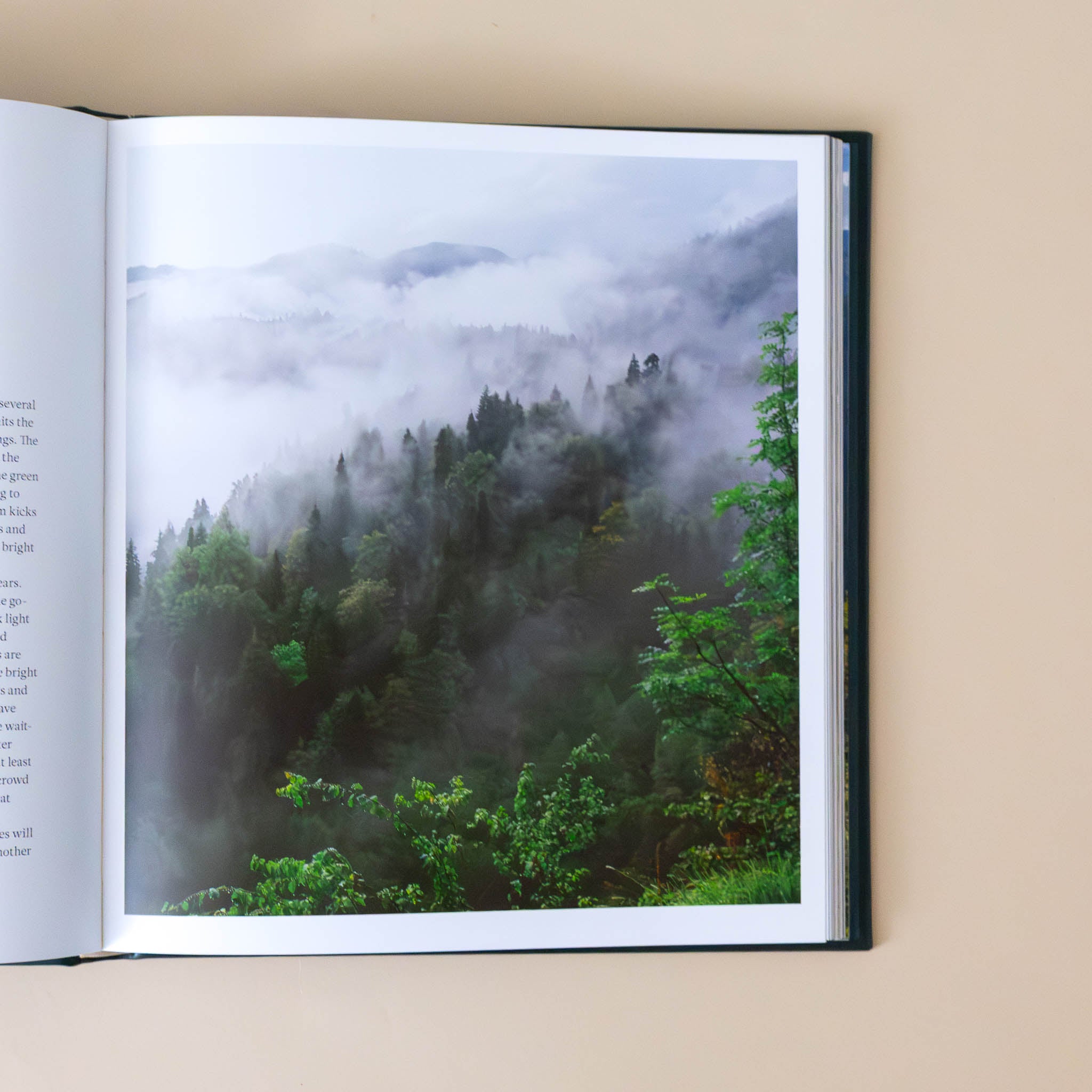 leather-bound-hidden-life-of-trees-book-photo-of-ridge-of-trees