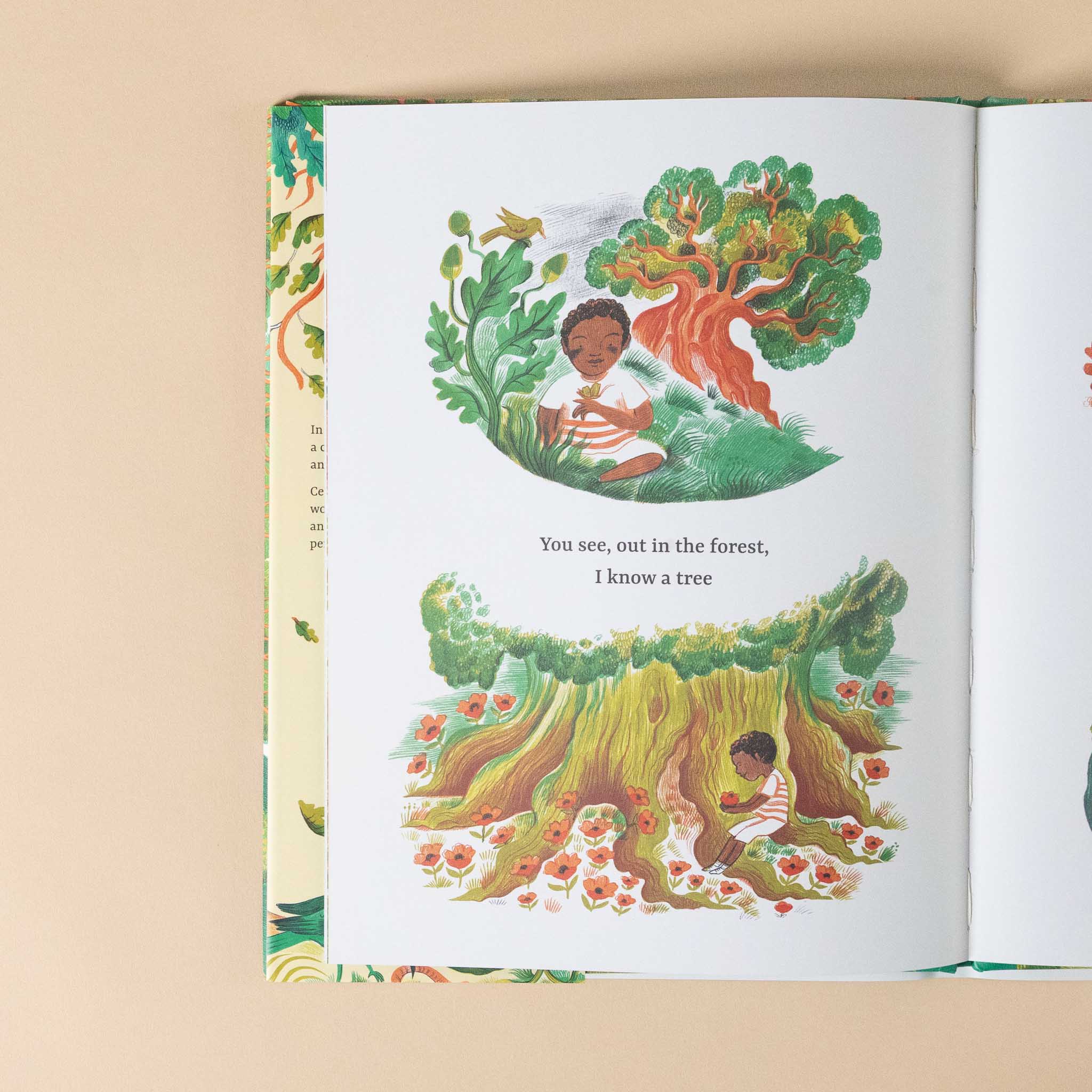 Open book with illustrations of a child in a forest and text.
