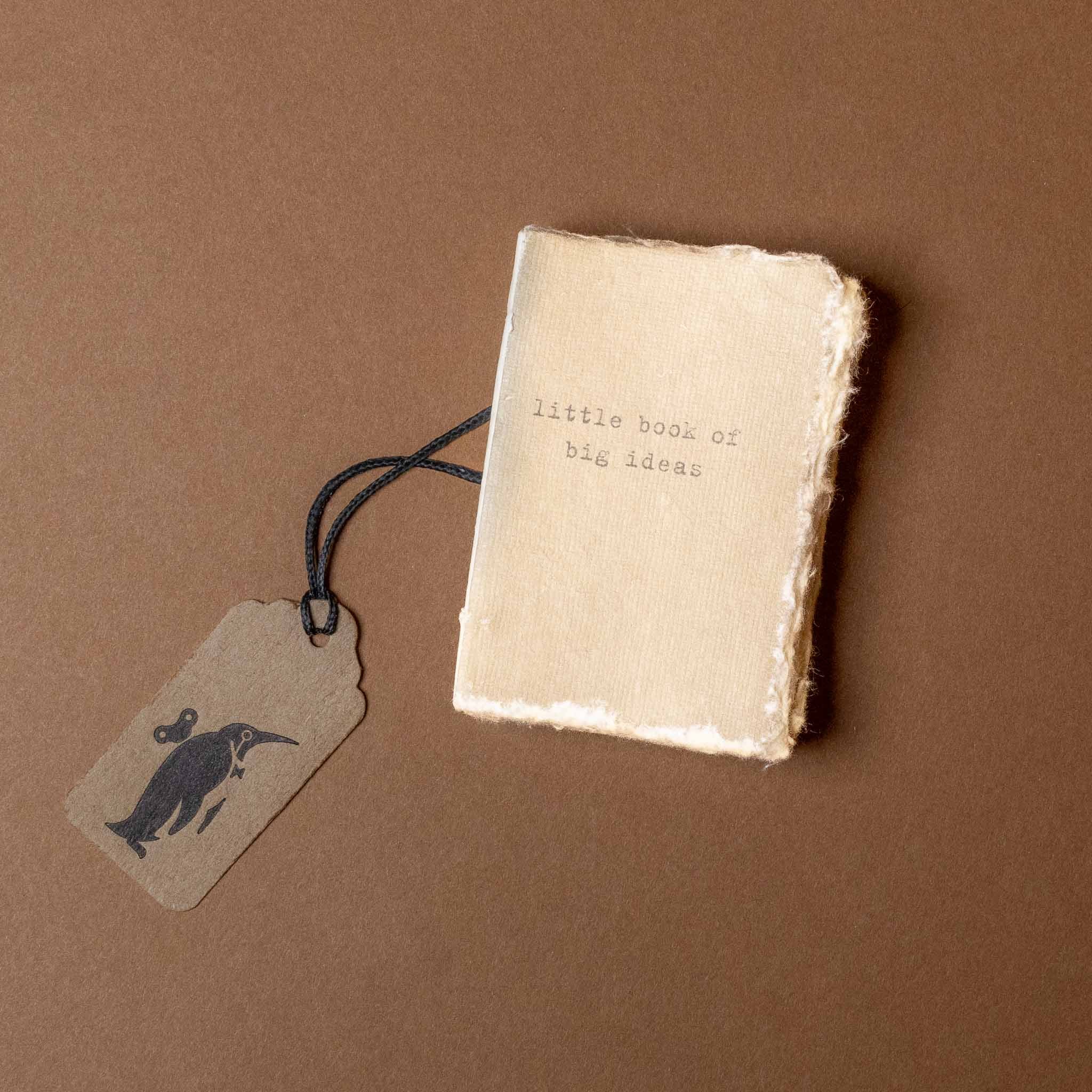 little-book-of-big-ideas-ombre