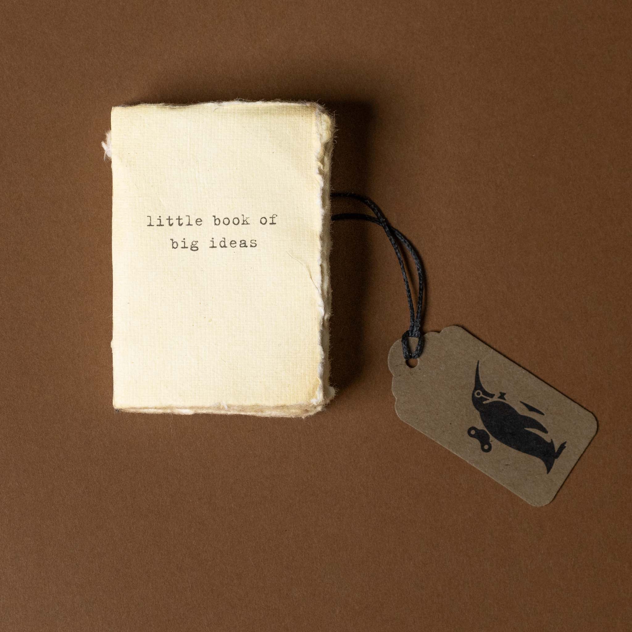 Small book titled 'little book of big ideas' with a tag on a brown background