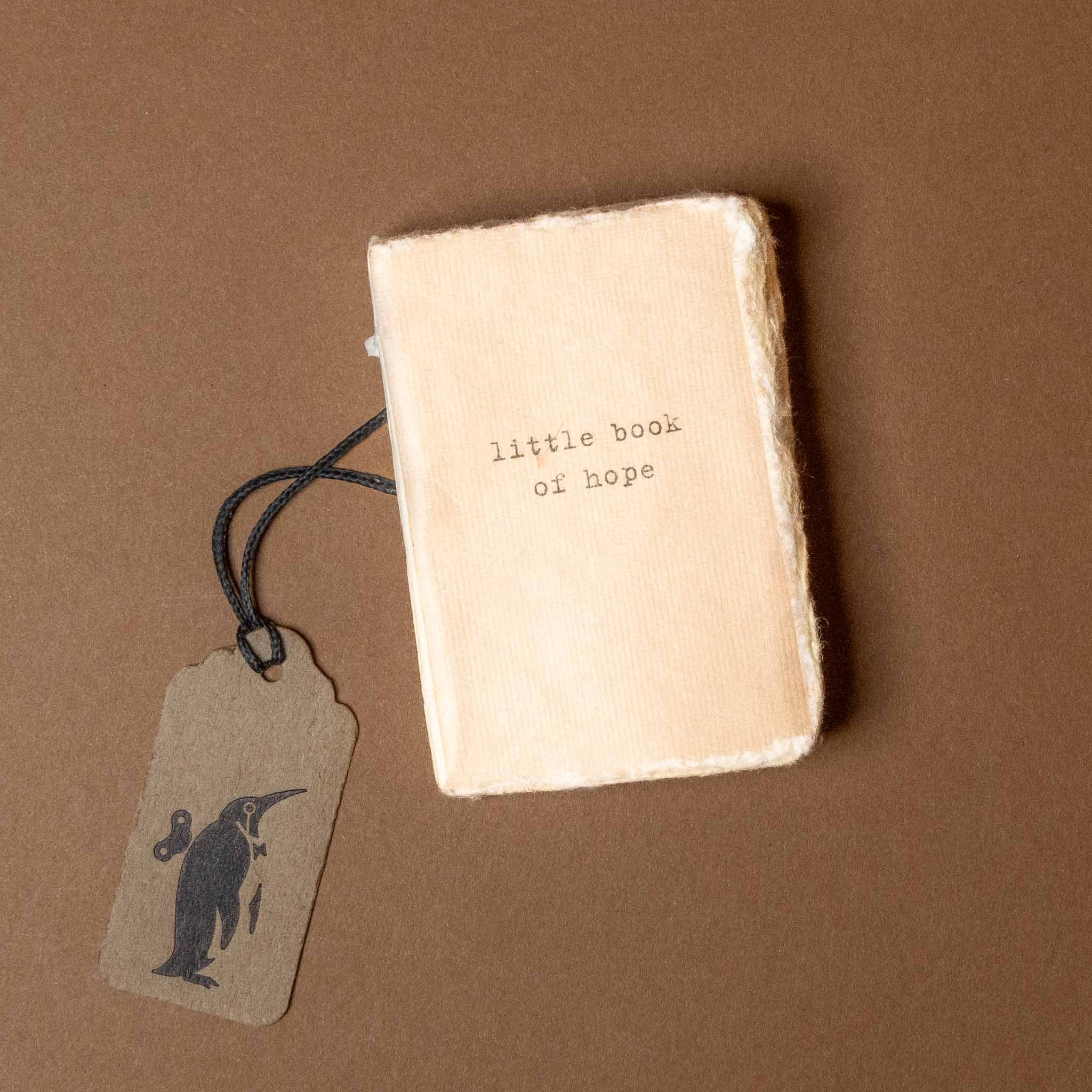 little-book-of-hope-ombre