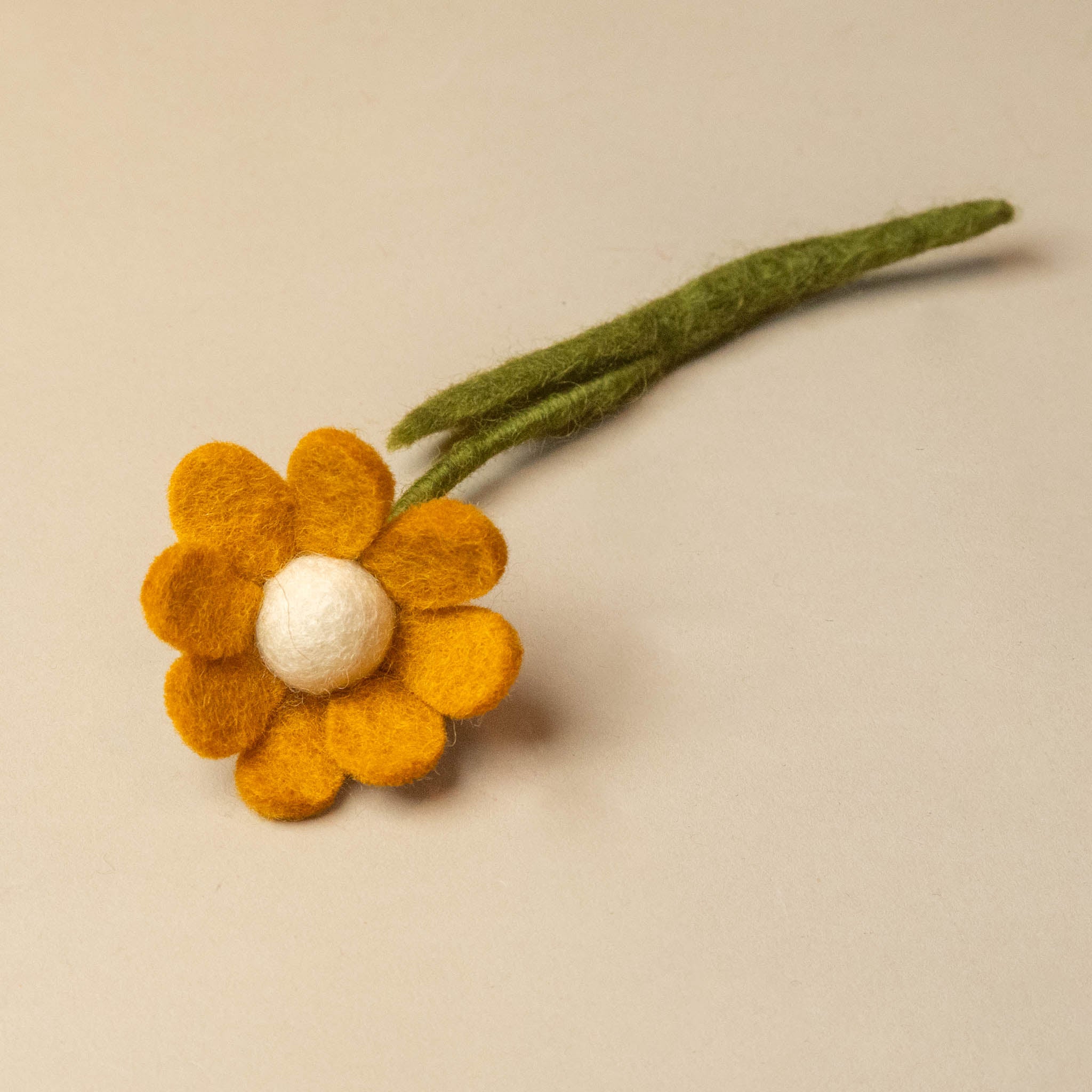 little-felt-anemone-with-leaf-ochre