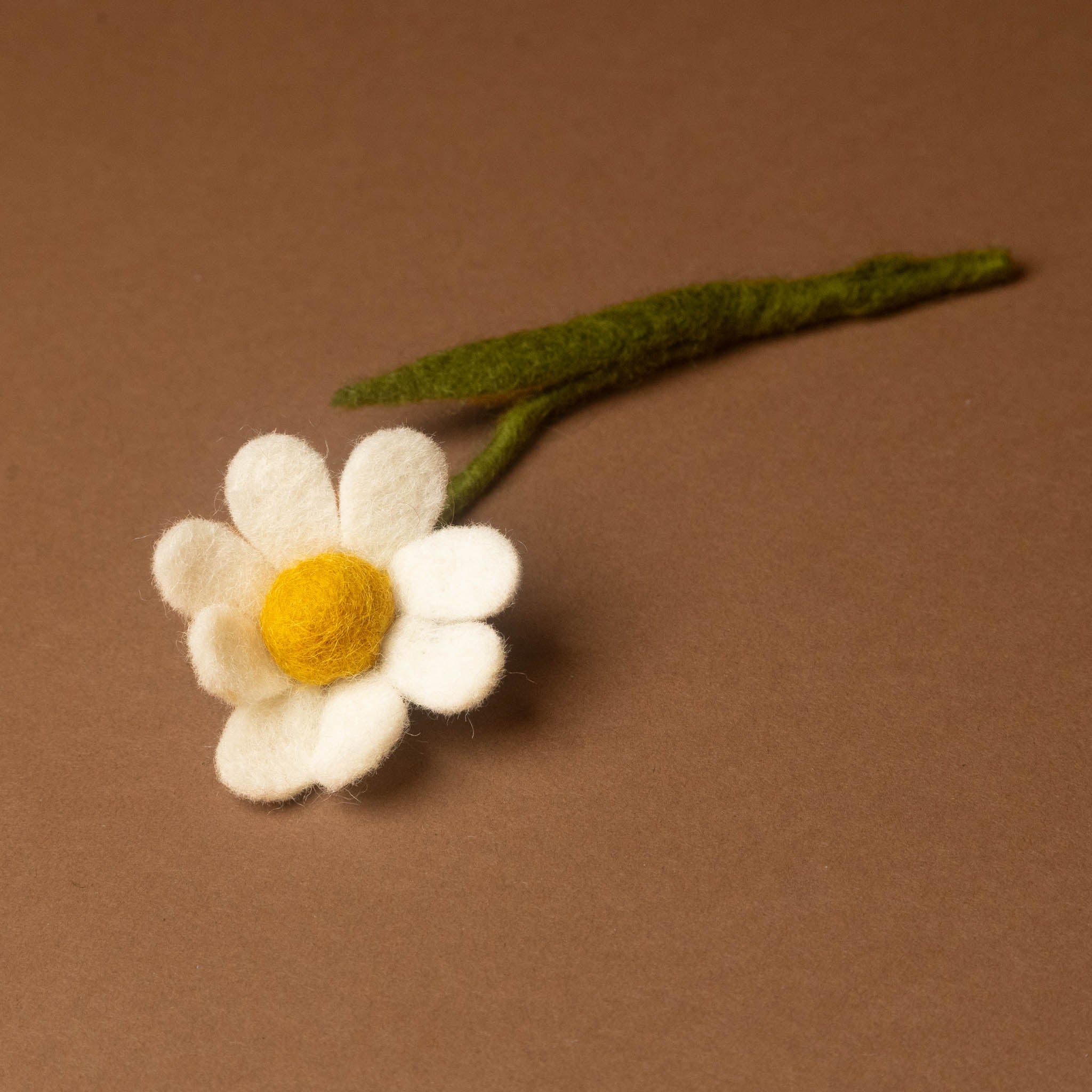 little-felt-anemone-with-leaf-white
