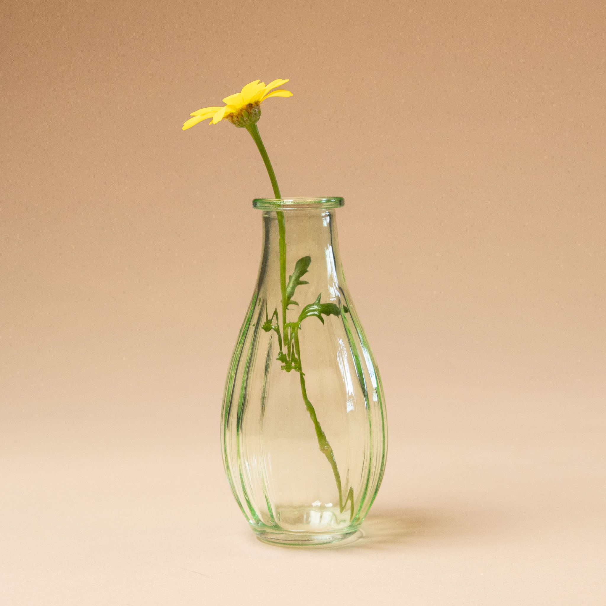 little-glass-bud-vase-verte with a yellow flower on a beige background