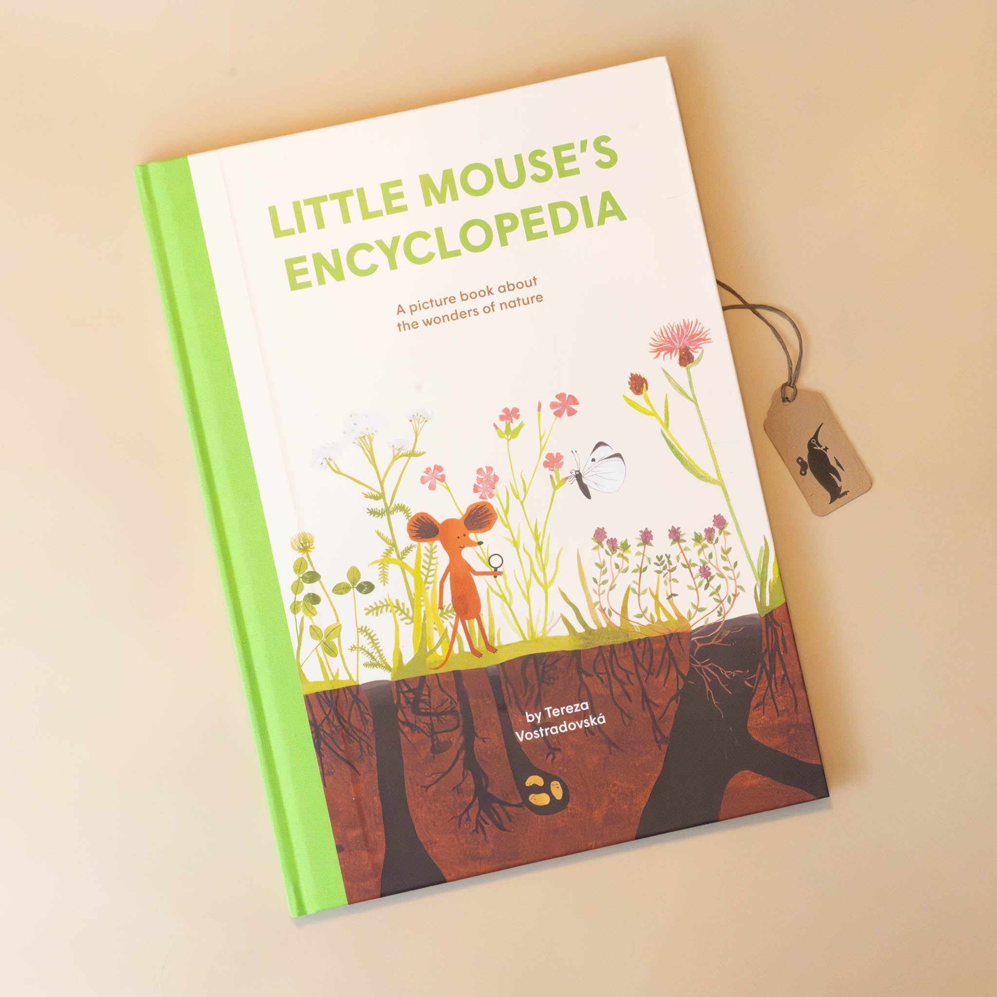 little-mouses-encyclopedia-book