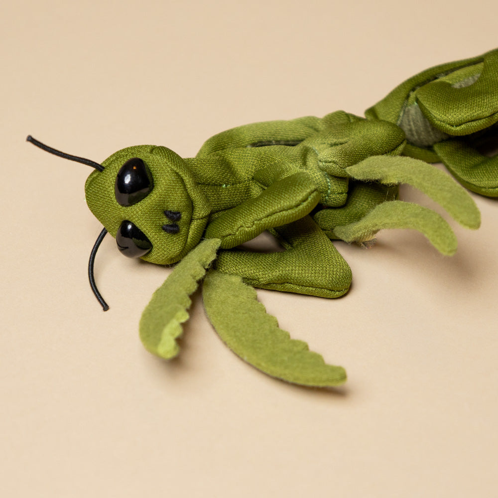 little-praying-mantis-finger-puppet-face