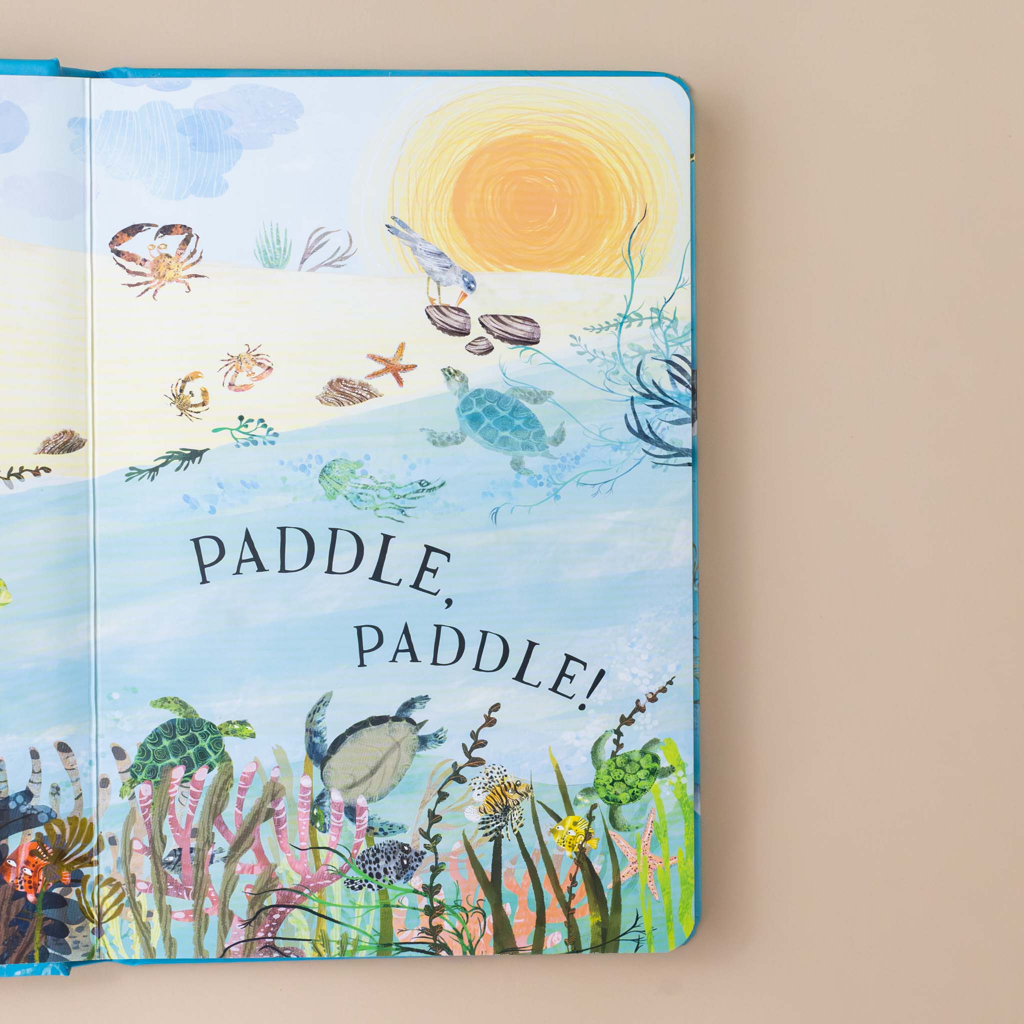 paddle-paddle-turtle-with-clams-starfish-jellyfish-seagull