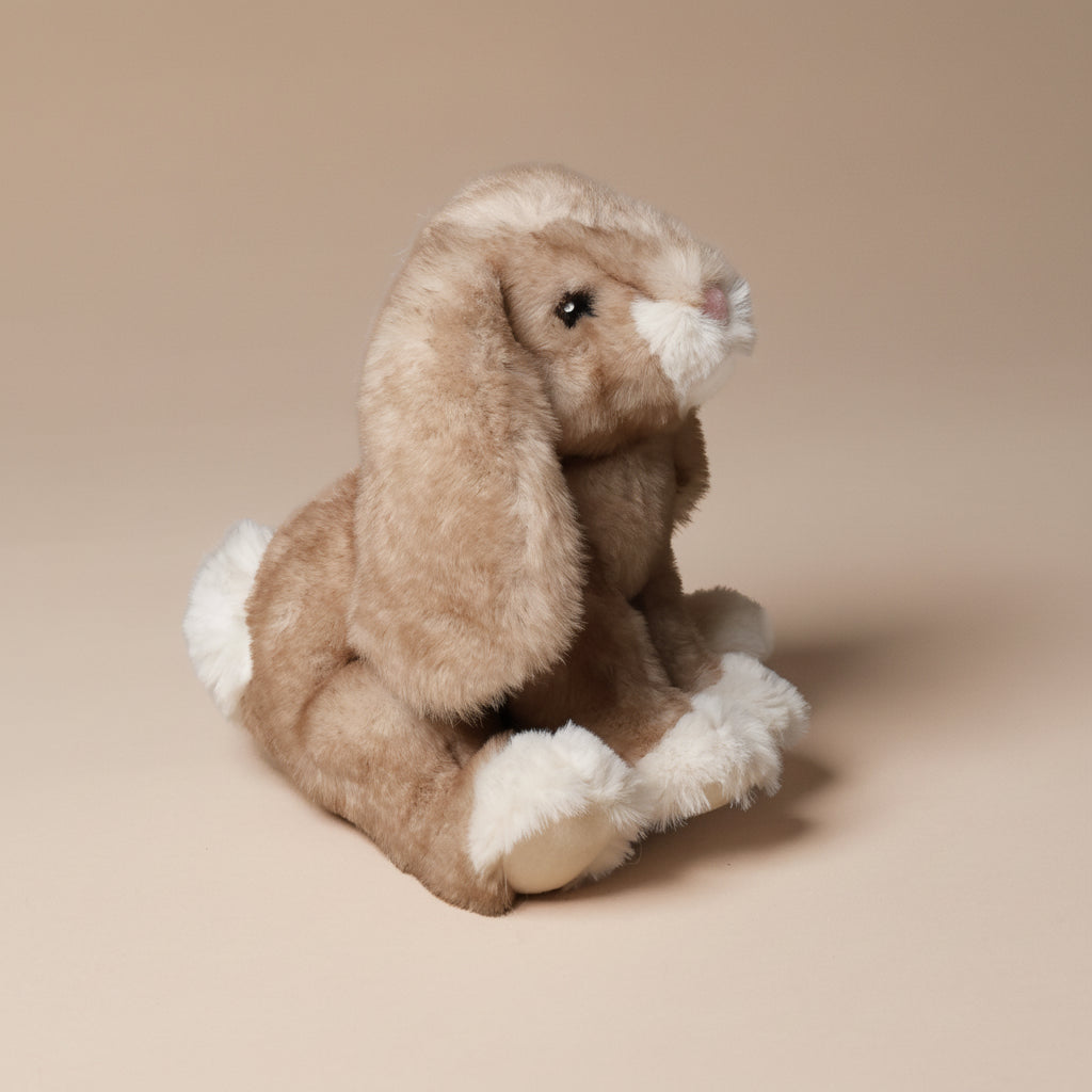 little-white-foot-artie-bunny-sitting