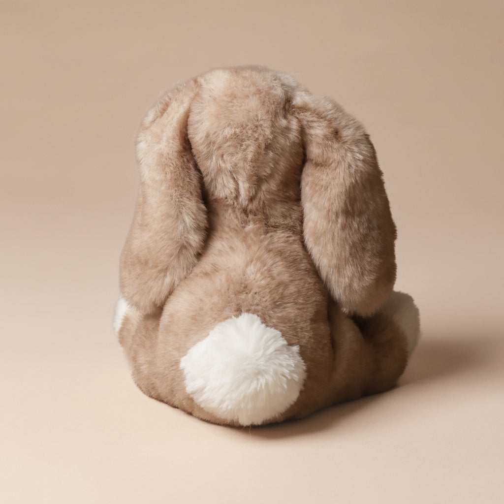 little-white-foot-artie-bunny-sitting