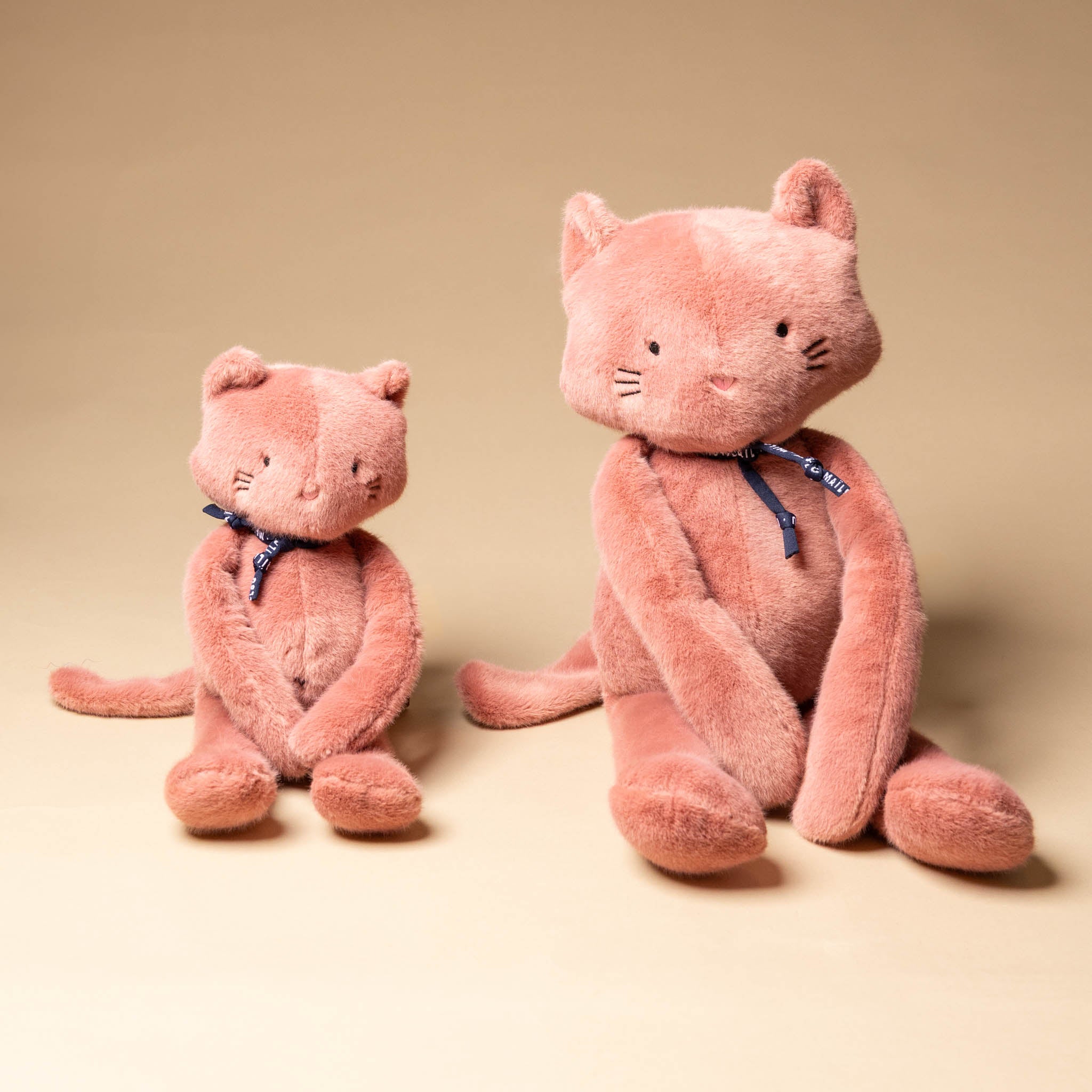 Loulou Kitten | Rosy - Petite