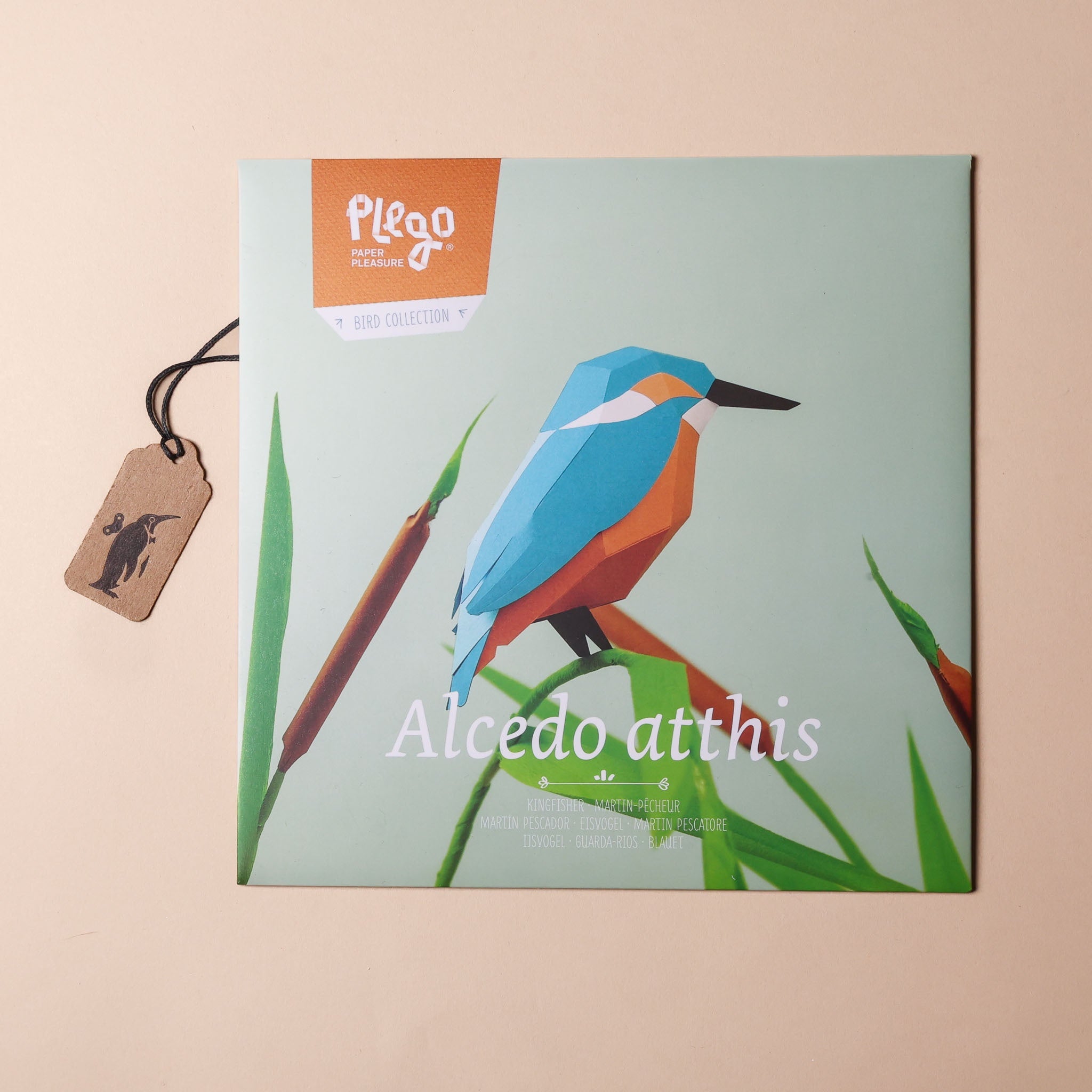 Make Your Own 3D Kingfisher Paper Model