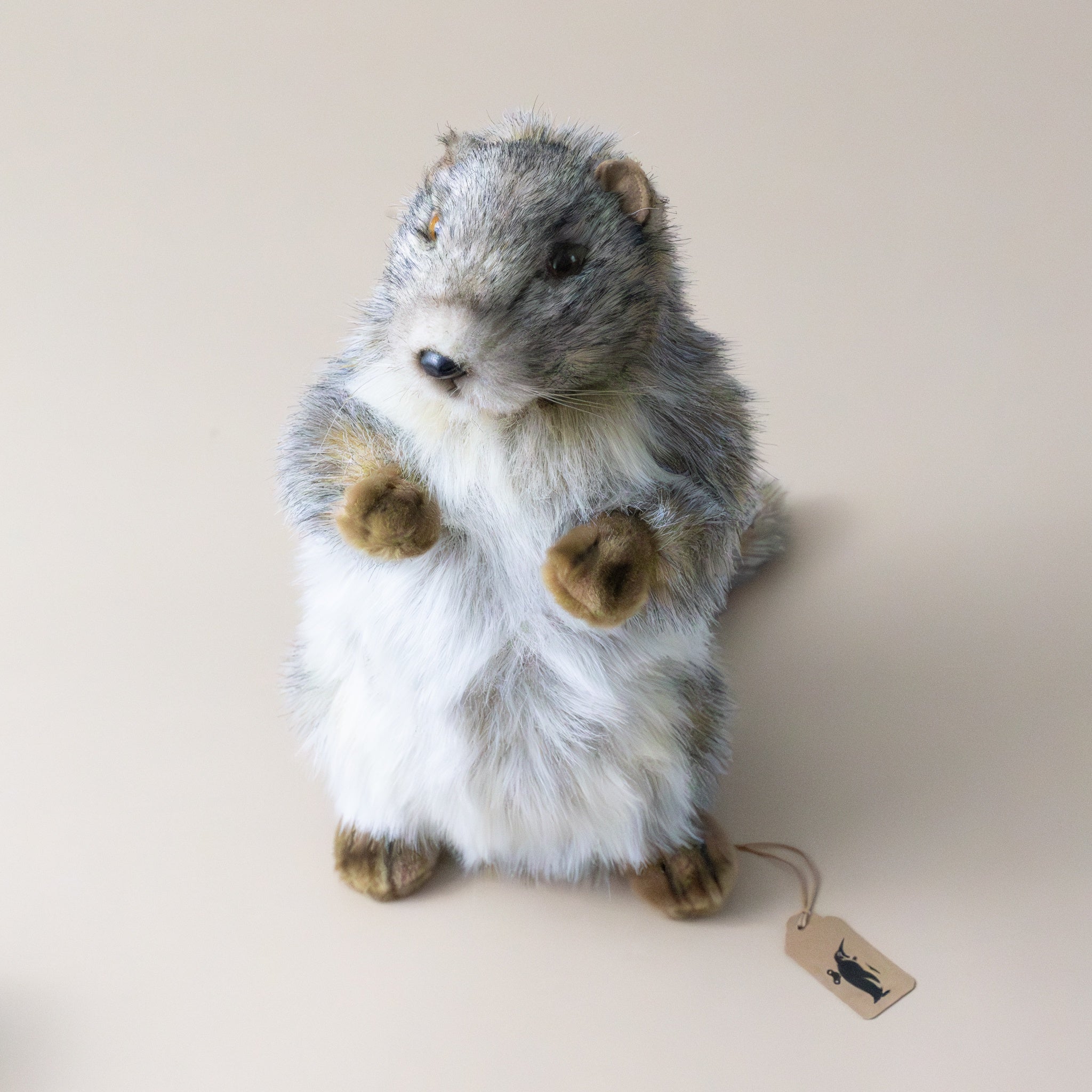 marmot-standing-small-stuffed-animal