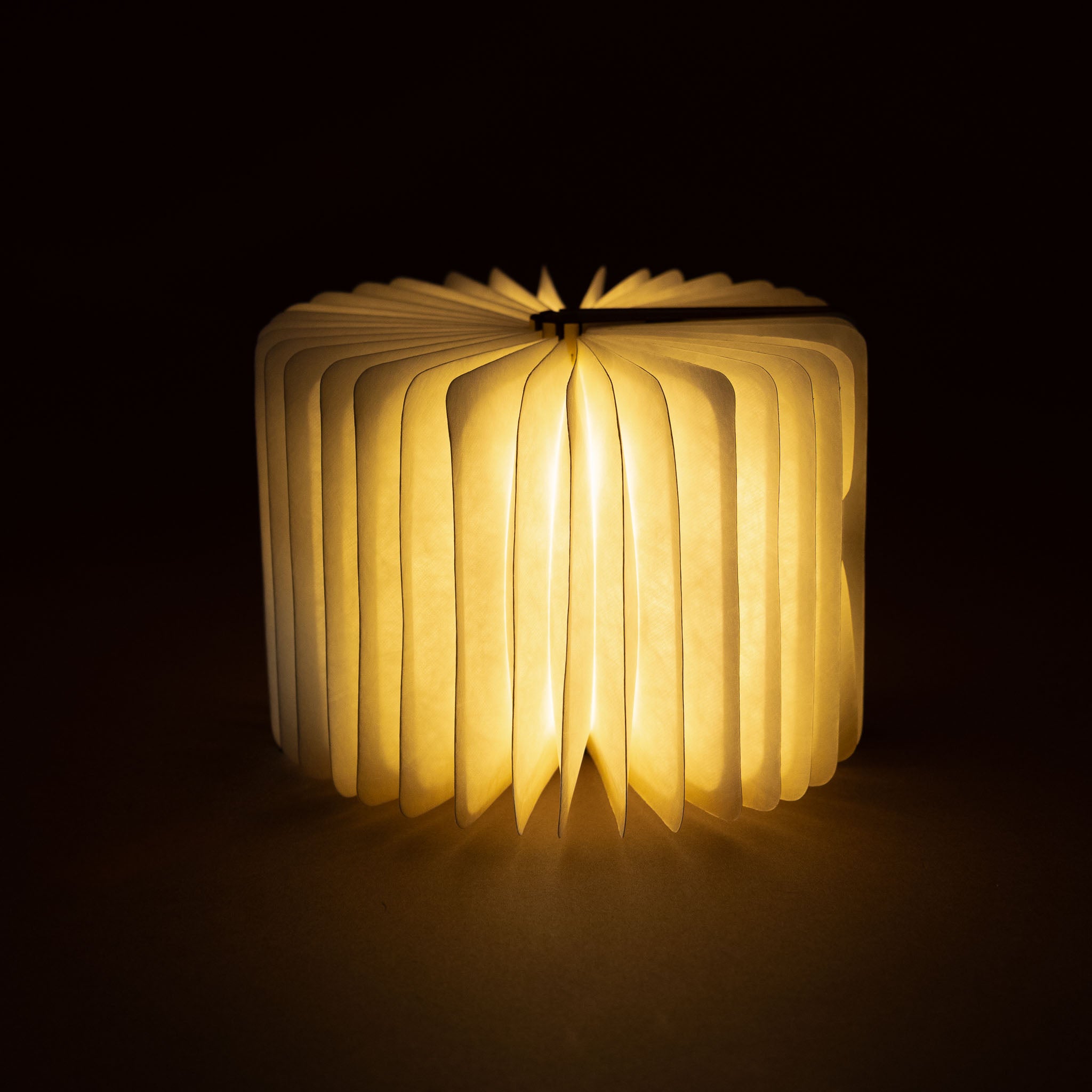 Miniature Wooden Book Lamp| Maple